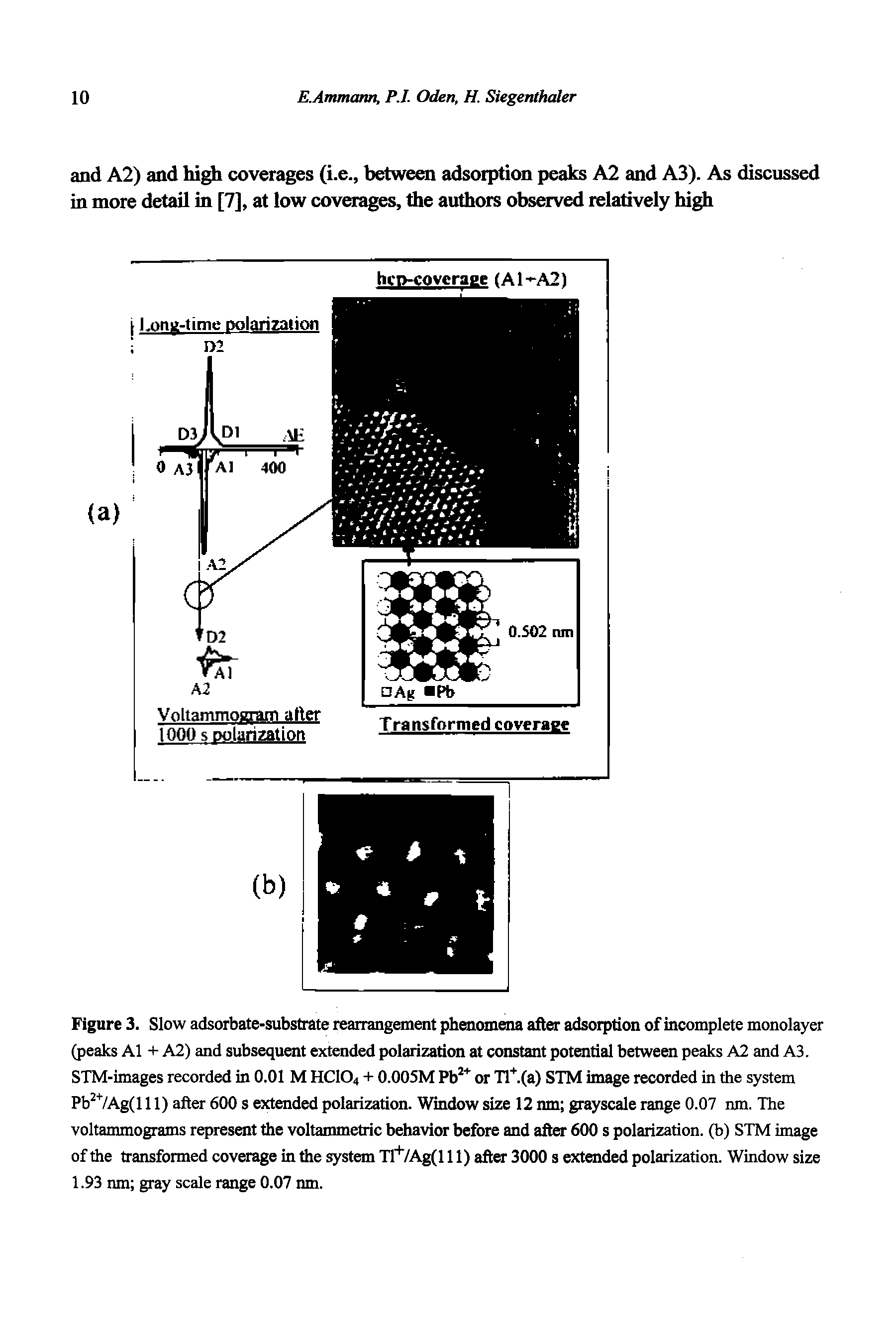 Figure 3. Slow adsorbate-substrate rearrangement phenomena after adsorption of incomplete monolayer (peaks A1 + A2) and subsequent extended polarization at constant potential between peaks A2 and A3. STM-images recorded in 0.01 M HCIO4 + 0.005M Pb or Tl. (a) STM image recorded in the system Pb 7Ag(l 11) after 600 s extended polarization. Window size 12 nm grayscale range 0.07 nm. The voltammograms represent the voltammetric behavior before and after 600 s polarization, (b) STM image of the transformed coverage in the system n" /Ag(l 11) after 3000 s extended polarization. Window size...