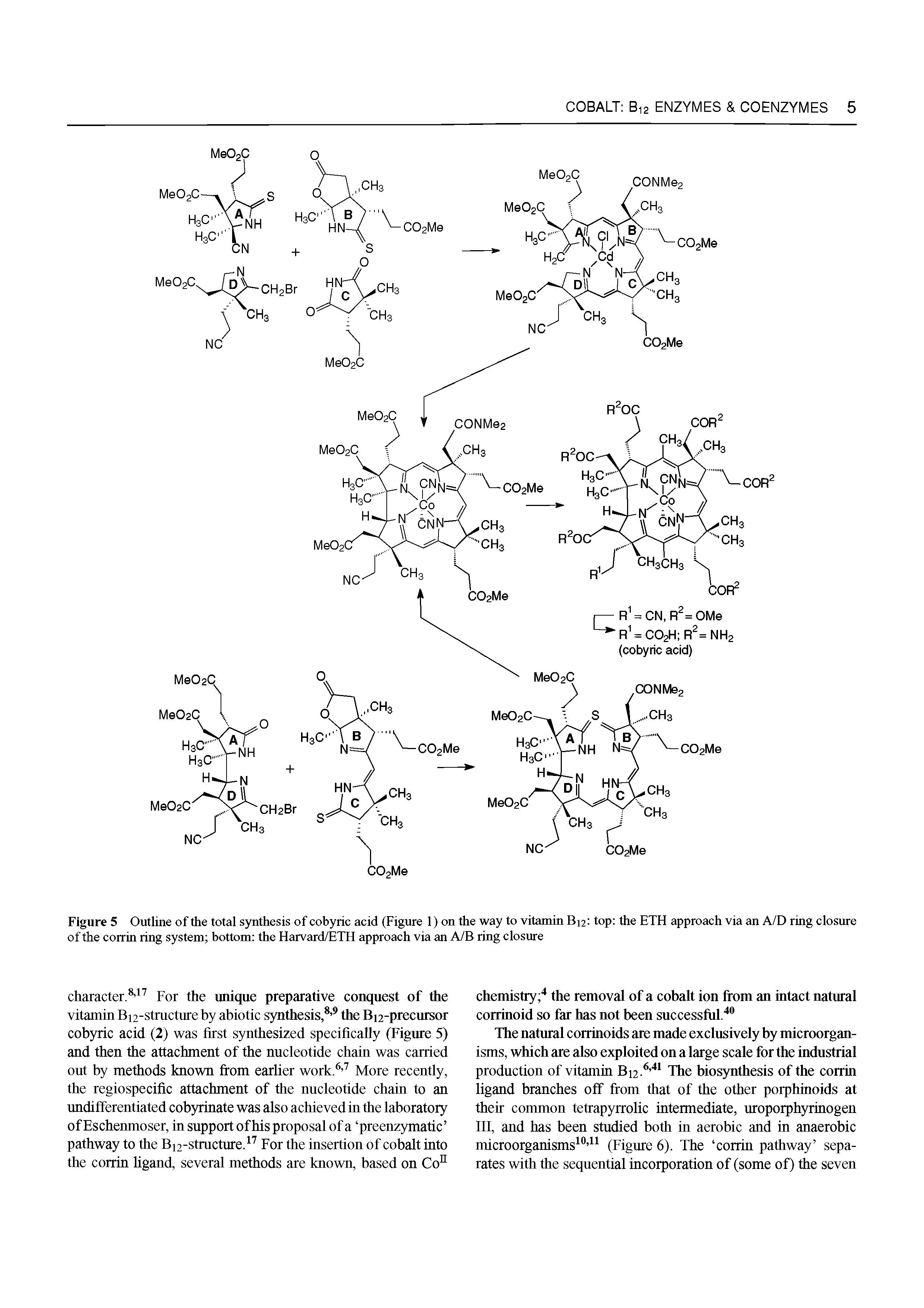 Figure 5 Outline of the total synthesis of cobyric acid (Figure 1) on the way to vitamin B12 top the ETH approach via an A/D ring closure of the corrin ring system bottom the Harvard/ETH approach via an A/B ring closure...