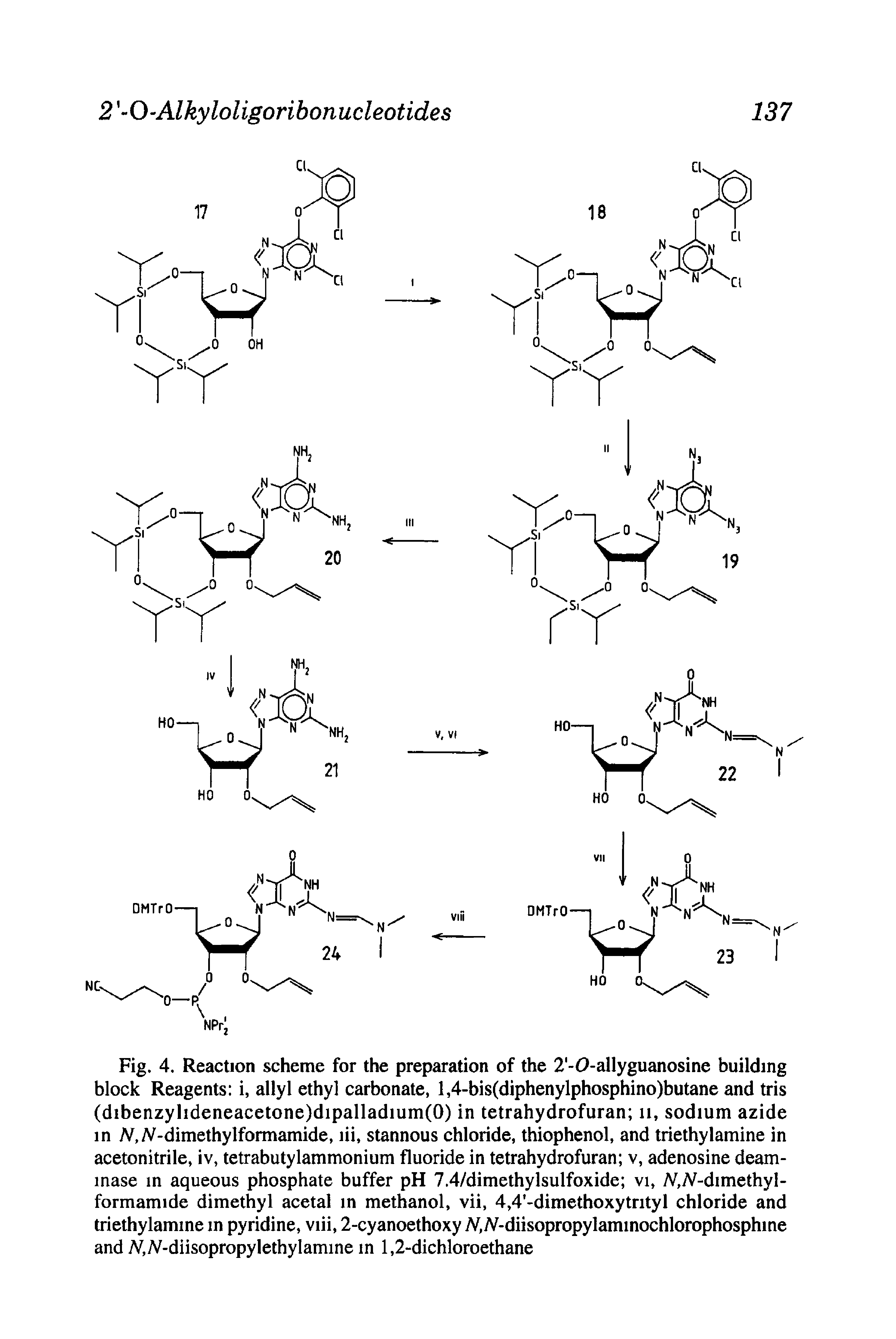 Fig. 4, Reaction scheme for the preparation of the 2 -0-allyguanosine building block Reagents i, allyl ethyl carbonate, l,4-bis(diphenylphosphino)butane and tris (dibenzylideneacetone)dipalladium(O) in tetrahydrofuran ii, sodium azide in MA -dimethylformamide, lii, stannous chloride, thiophenol, and triethylamine in acetonitrile, iv, tetrabutylammonium fluoride in tetrahydrofuran v, adenosine deaminase in aqueous phosphate buffer pH 7.4/dimethylsulfoxide vi, A, A -dimethyl-formamide dimethyl acetal in methanol, vii, 4,4 -dimethoxytrityl chloride and triethylamine in pyridine, viii, 2-cyanoethoxy A, iV-diisopropylaminochlorophosphme and A, //-diisopropylethylamine in 1,2-dichloroethane...