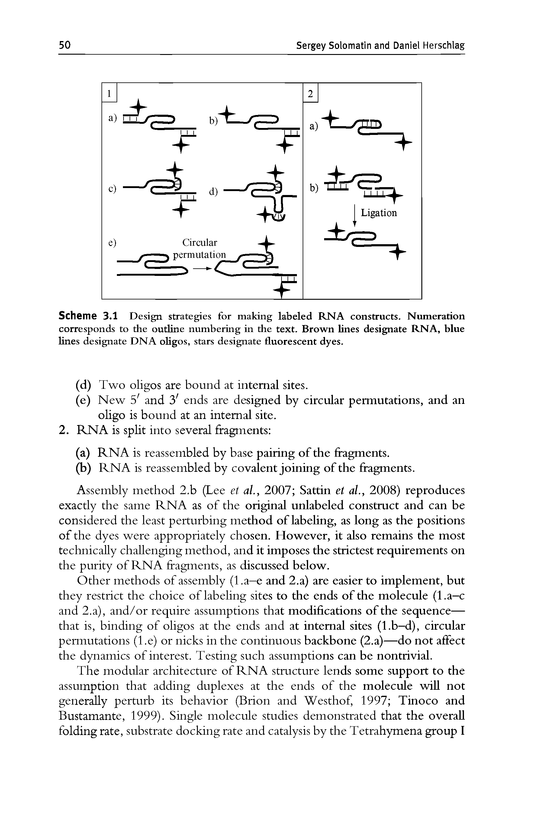 Scheme 3.1 Design strategies for making labeled RNA constructs. Numeration corresponds to the outline numbering in the text. Brown lines designate RNA, blue lines designate DNA oligos, stars designate fluorescent dyes.