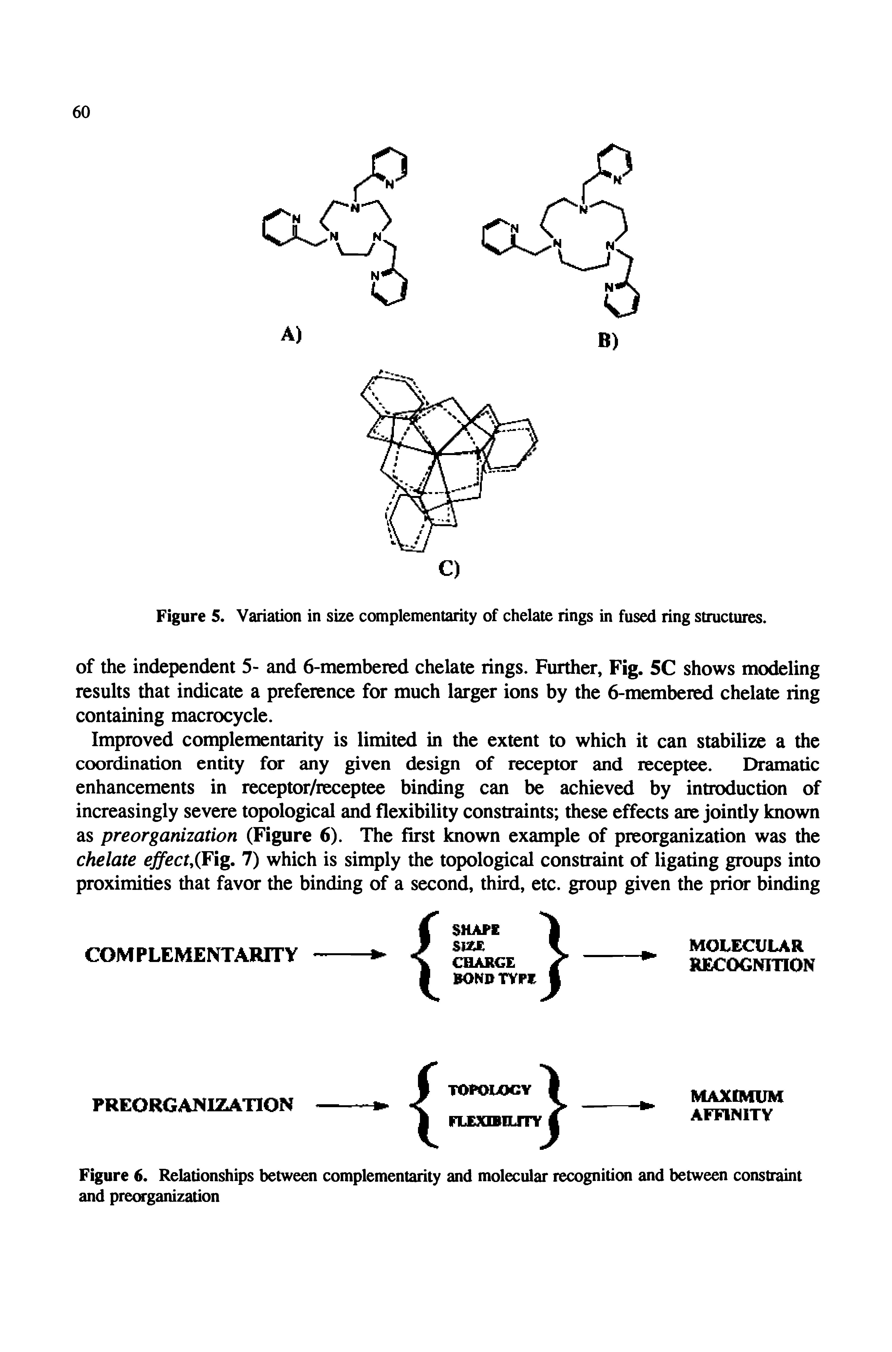 Figure 6. Relationships between complementarity and molecular recognition and between constraint and preorganization...