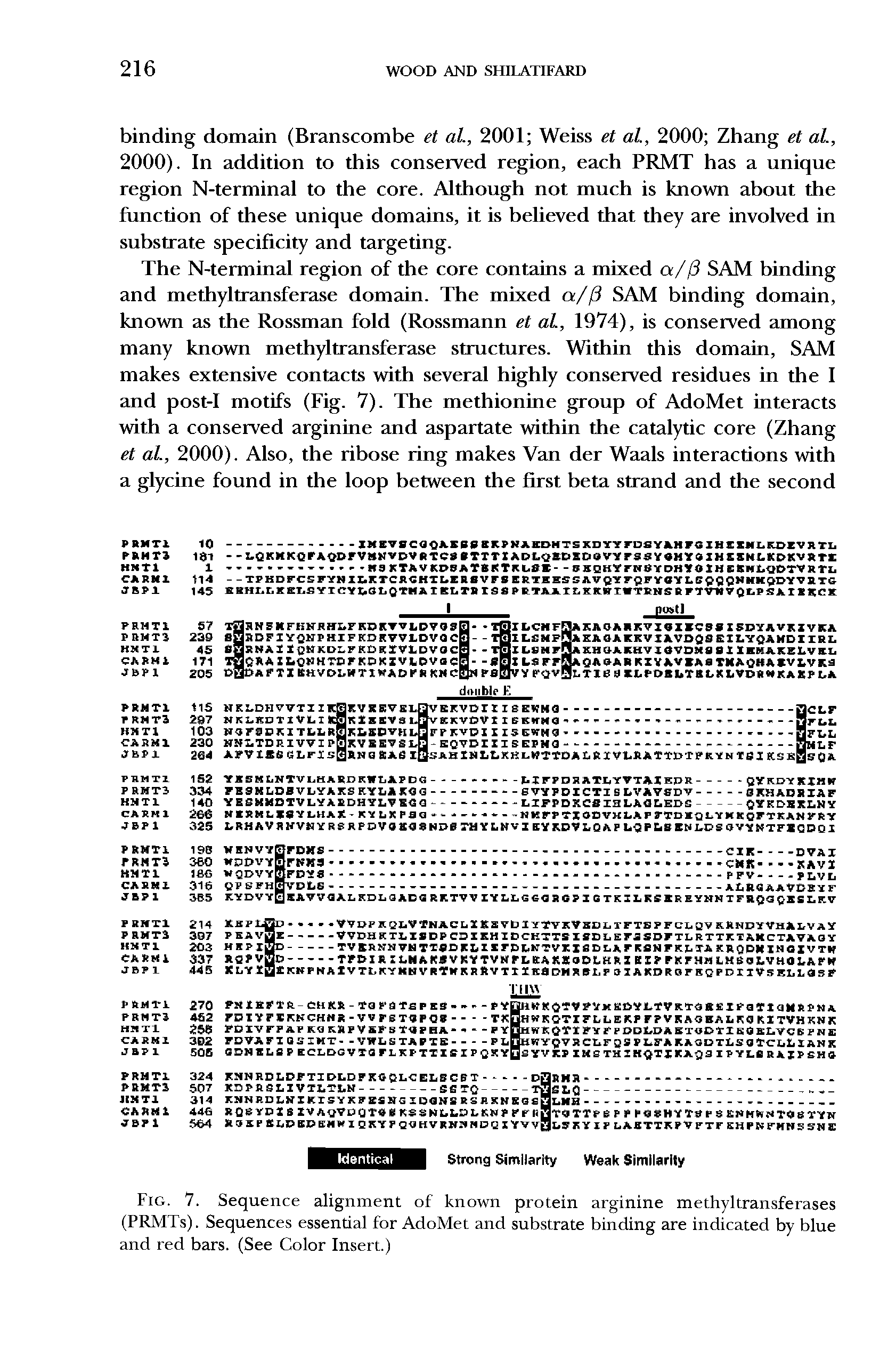 Fig. 7. Sequence alignment of known protein arginine methyltransferases (PRMTs). Sequences essential for AdoMet and substrate binding are indicated by blue and red bars. (See Color Insert.)...