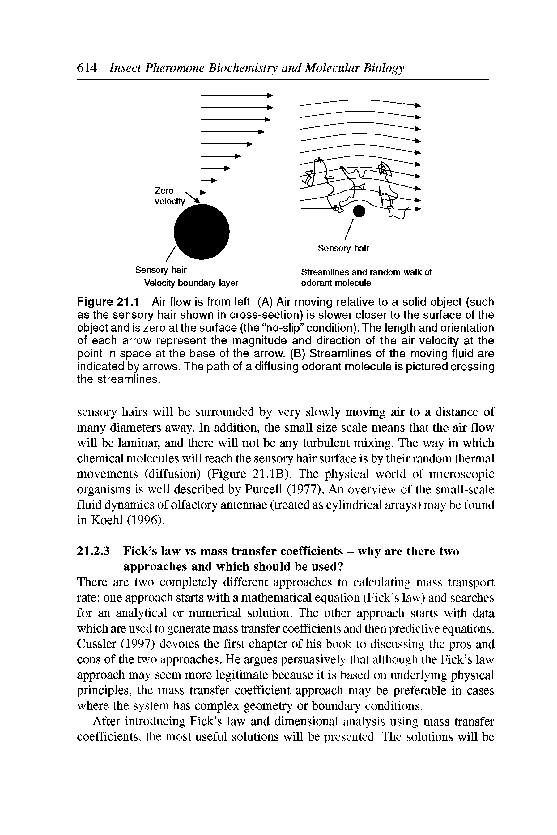 Figure 21.1 Air flow is from left. (A) Air moving relative to a solid object (such as the sensory hair shown in cross-section) is slower closer to the surface of the object and is zero at the surface (the no-slip condition). The length and orientation of each arrow represent the magnitude and direction of the air velocity at the point in space at the base of the arrow. (B) Streamlines of the moving fluid are indicated by arrows. The path of a diffusing odorant molecule is pictured crossing the streamlines.