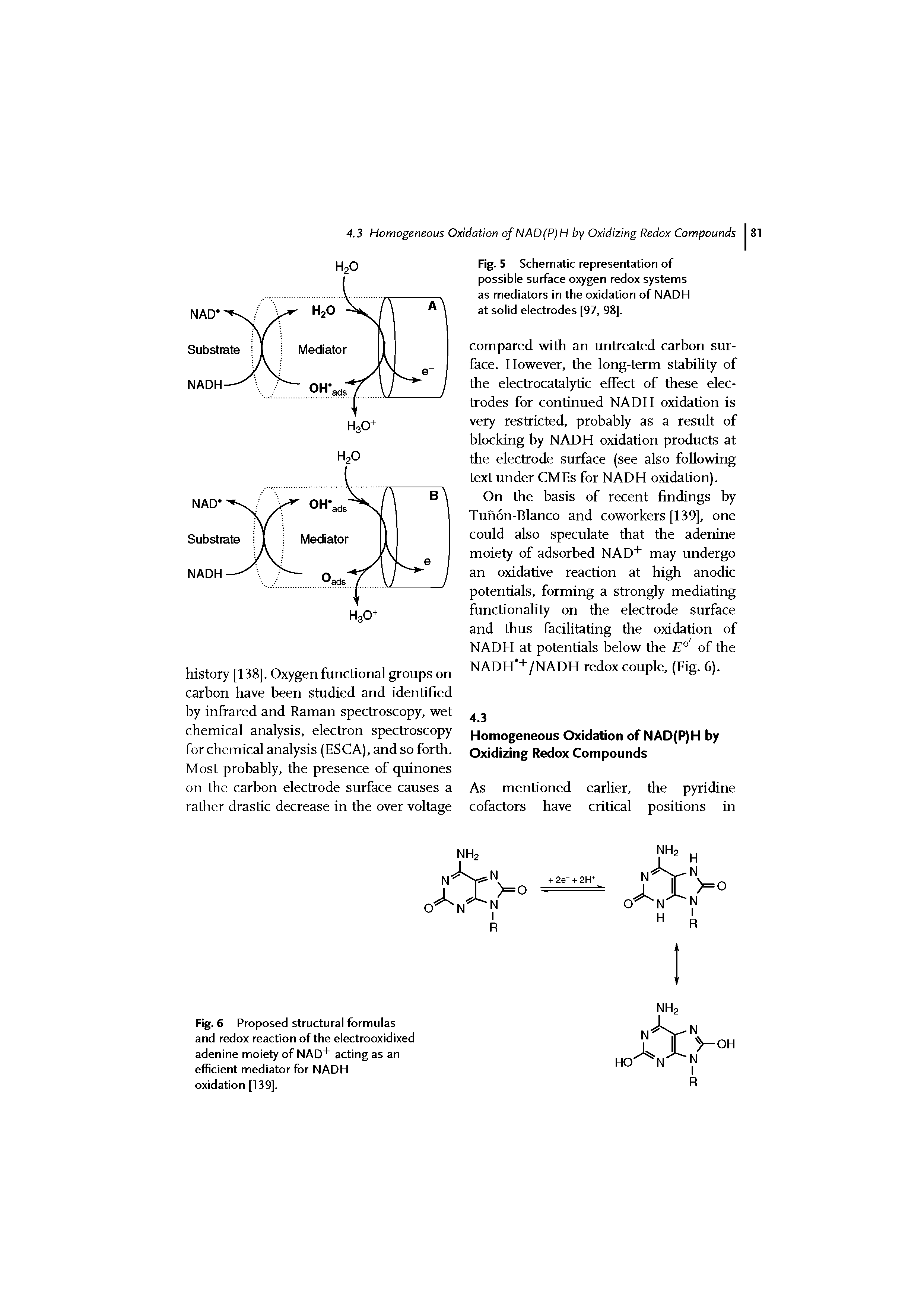 Fig. 6 Proposed structural formulas and redox reaction of the electrooxidixed adenine moiety of NAD acting as an efficient mediator for NADH oxidation [139].