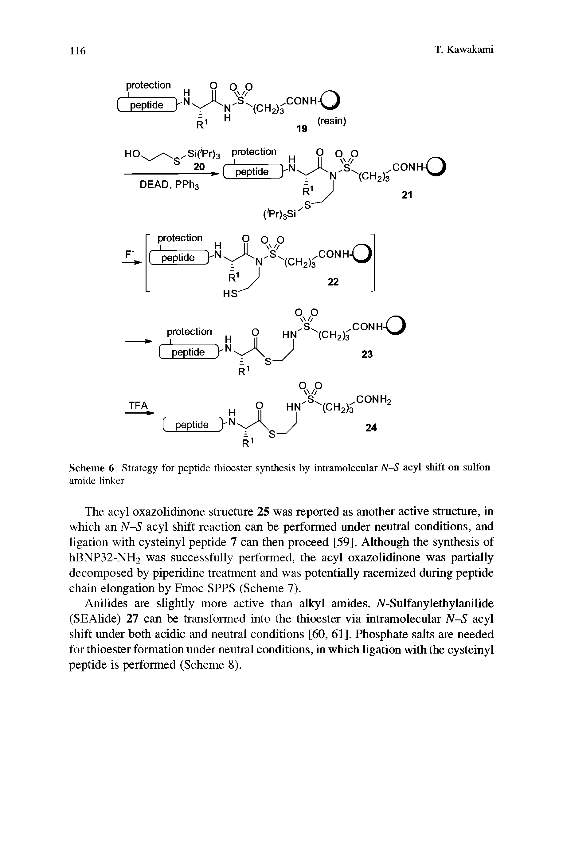 Scheme 6 Strategy for peptide thioester synthesis by intramolecular NS acyl shift on sulfonamide linker...