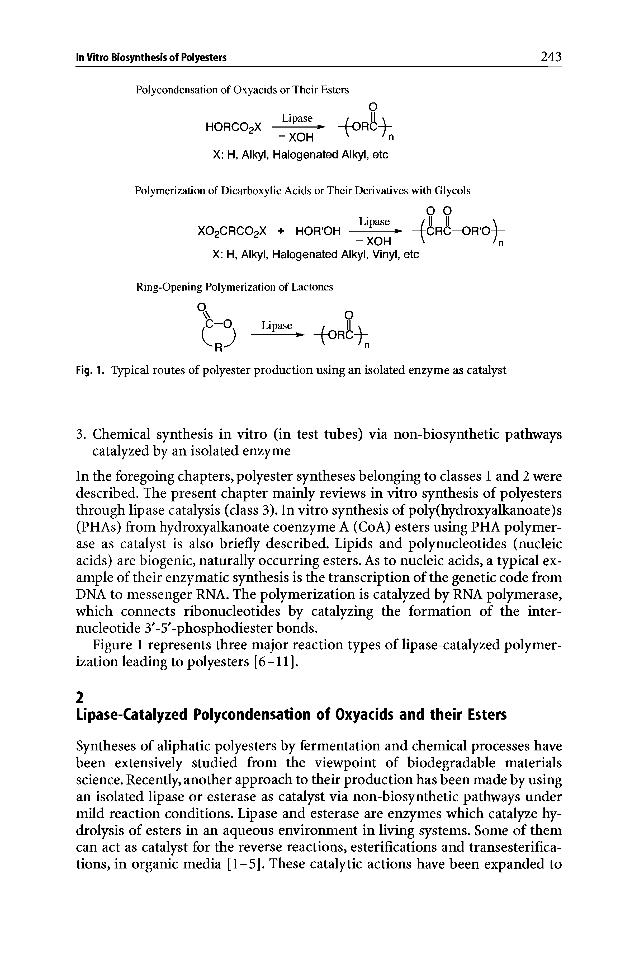 Fig. 1. Typical routes of polyester production using an isolated enzyme as catalyst...