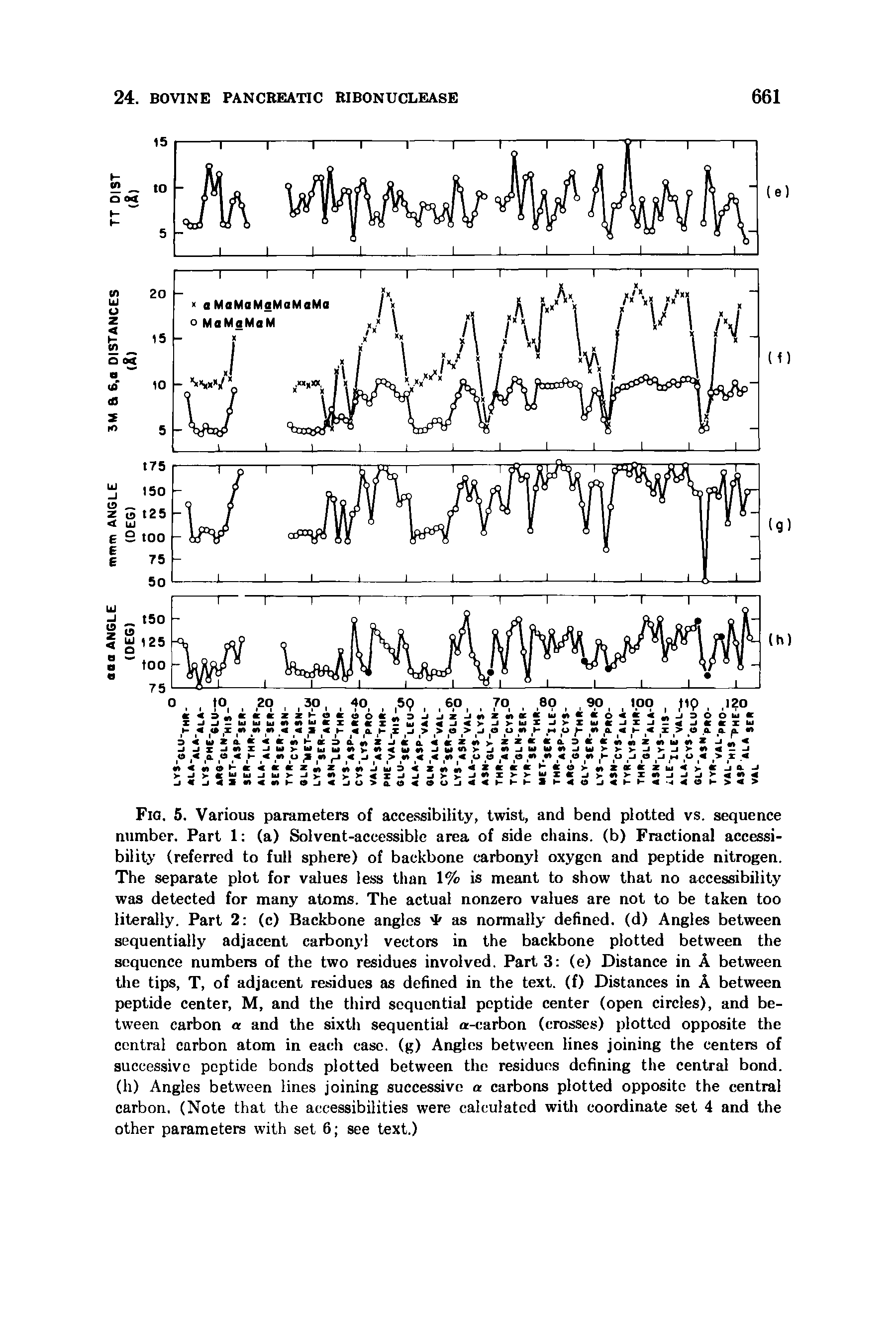 Fig. 5. Various parameters of accessibility, twist, and bend plotted vs. sequence number. Part 1 (a) Solvent-accessible area of side chains, (b) Fractional accessibility (referred to full sphere) of backbone carbonyl oxygen and peptide nitrogen. The separate plot for values less than 1% is meant to show that no accessibility was detected for many atoms. The actual nonzero values are not to be taken too literally. Part 2 (c) Backbone angles as normally defined, (d) Angles between sequentially adjacent carbonyl vectors in the backbone plotted between the sequence numbers of the two residues involved. Part 3 (e) Distance in A between the tips, T, of adjacent residues as defined in the text, (f) Distances in A between peptide center, M, and the third sequential peptide center (open circles), and between carbon a and the sixth sequential a-carbon (crosses) plotted opposite the central carbon atom in each case, (g) Angles between lines joining the centers of successive peptide bonds plotted between the residues defining the central bond, (h) Angles between lines joining successive a carbons plotted opposite the central carbon, (Note that the accessibilities were calculated with coordinate set 4 and the other parameters with set 6 see text.)...