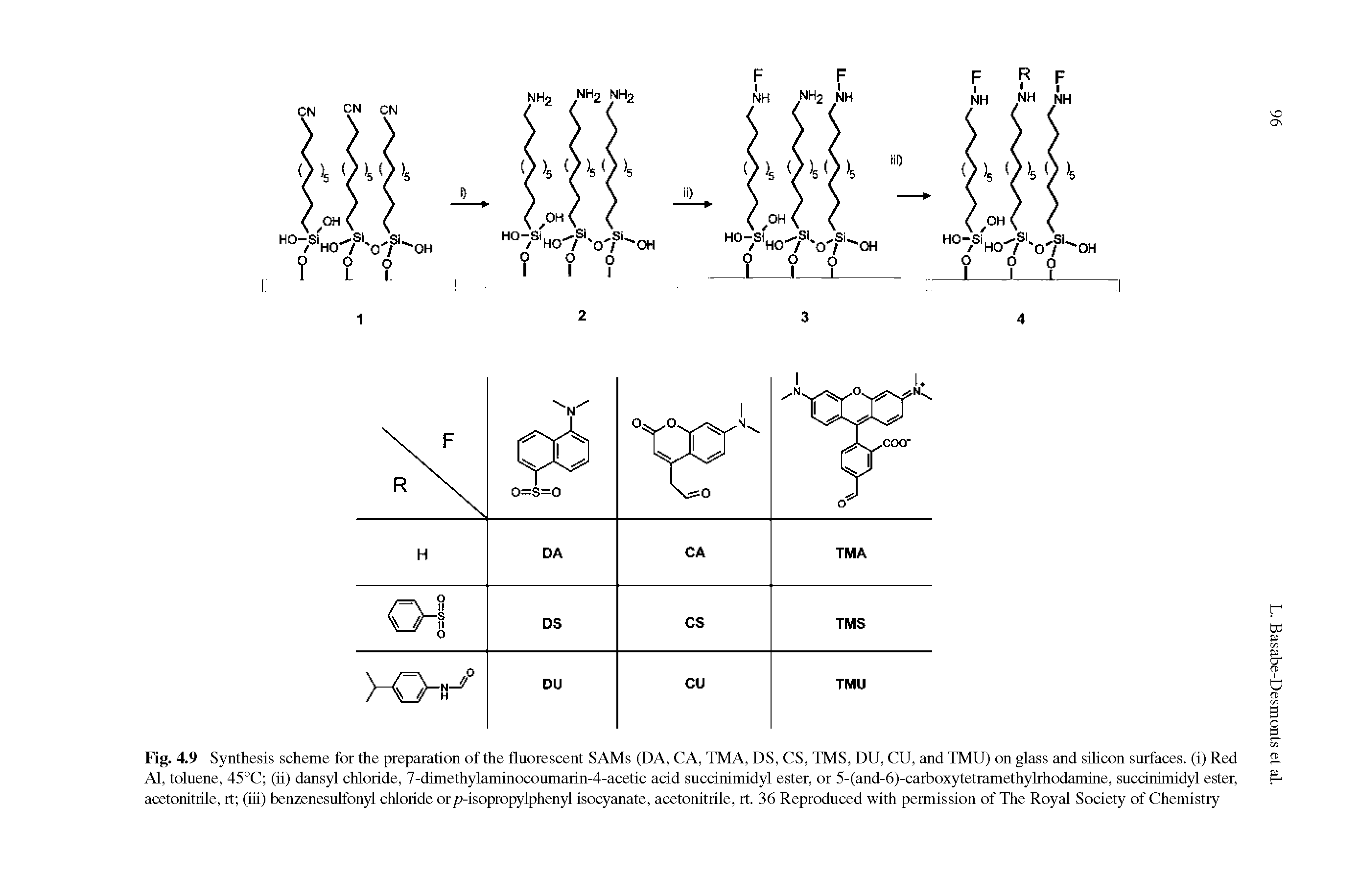 Fig. 4.9 Synthesis scheme for the preparation of the fluorescent SAMs (DA, CA, TMA, DS, CS, TMS, DU, CU, and TMU) on glass and silicon surfaces, (i) Red Al, toluene, 45°C (ii) dansyl chloride, 7-dimethylaminocoumarin-4-acetic acid succinimidyl ester, or 5-(and-6)-carboxytetramethylrhodamine, succinimidyl ester, acetonitrile, rt (iii) benzenesulfonyl chloride orp-isopropylphenyl isocyanate, acetonitrile, rt. 36 Reproduced with permission of The Royal Society of Chemistry...