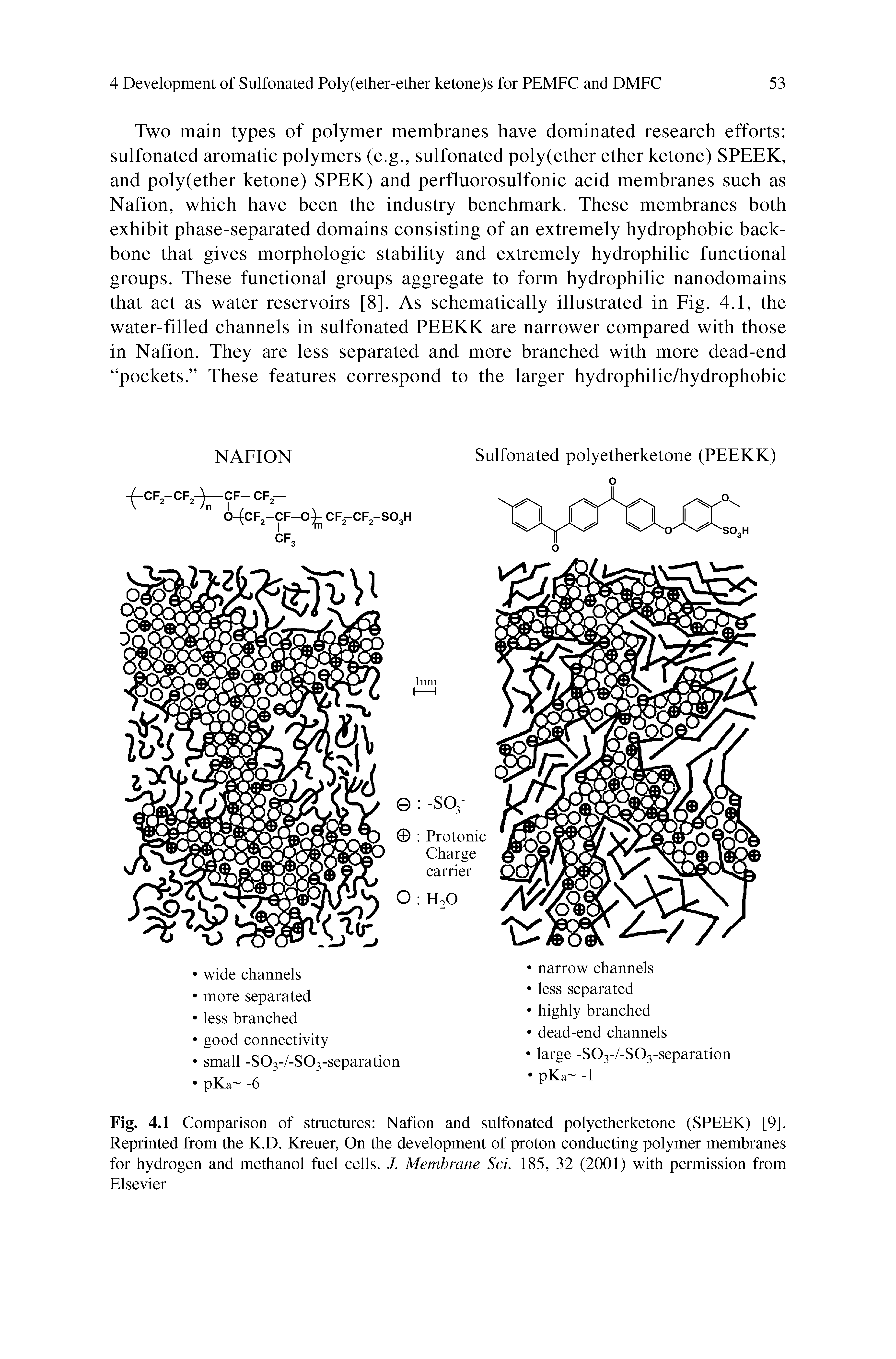 Fig. 4.1 Comparison of structures Nafion and sulfonated polyetherketone (SPEEK) [9]. Reprinted from the K.D. Kreuer, On the development of proton conducting polymer membranes for hydrogen and methanol fuel cells. J. Membrane Sci. 185, 32 (2001) with permission from Elsevier...