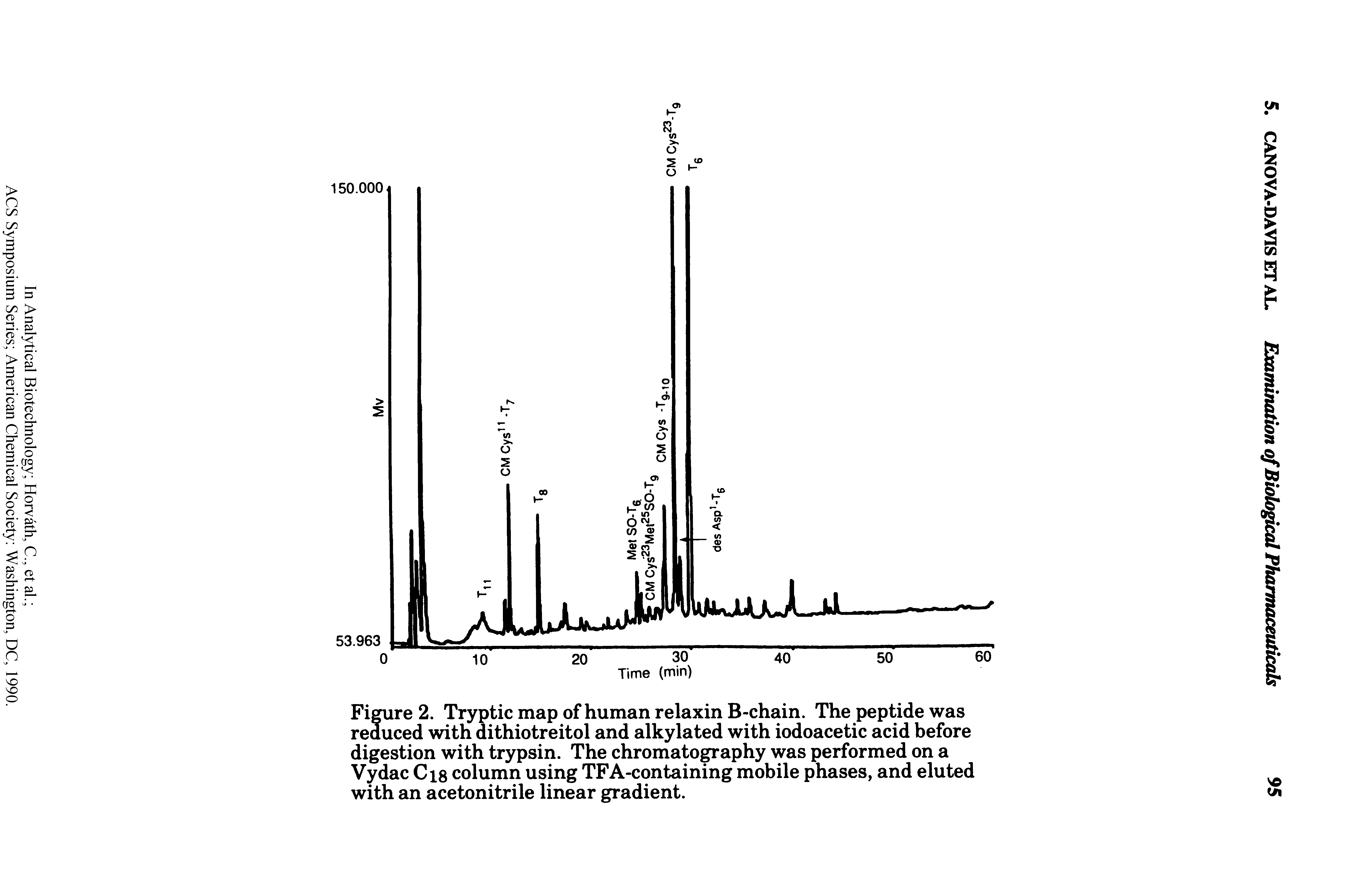 Figure 2. Tryptic map of human relaxin B-chain. The peptide was reduced with dithiotreitol and alkylated with iodoacetic acid before digestion with trypsin. The chromatography was performed on a Vydac Cis column using TFA-containing mobile phases, and eluted with an acetonitrile linear gradient.