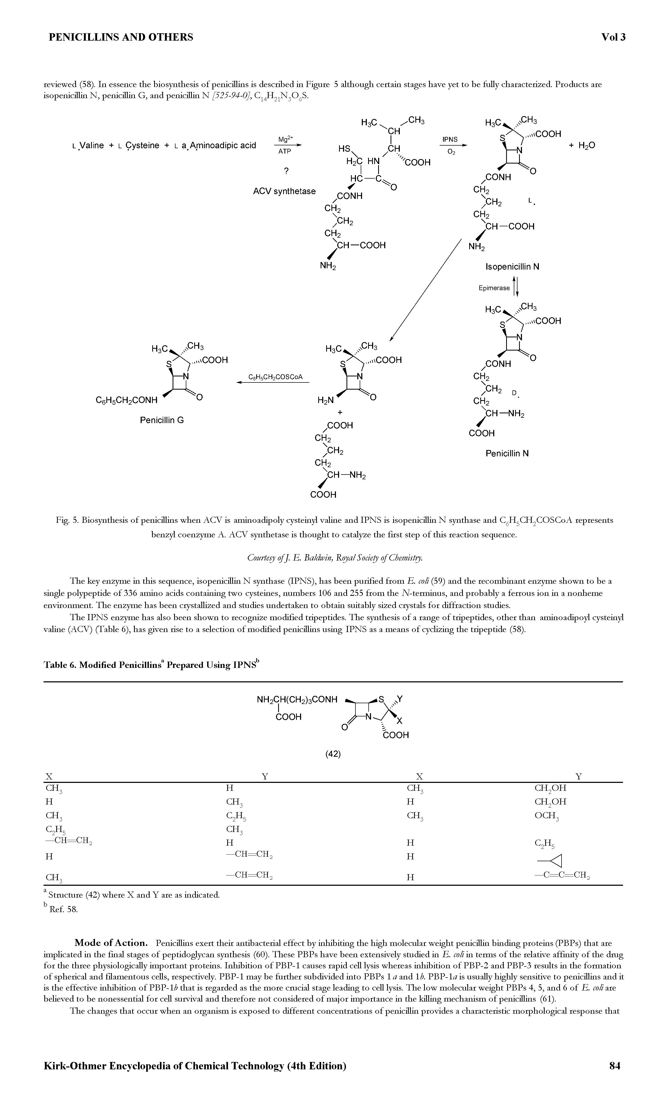 Fig. 5. Biosynthesis of penicillins when ACV is aminoadipoly cysteinyl valine and IPNS is isopenicillin N synthase and CgH CH2COSCoA represents benzyl coenzyme A. ACV synthetase is thought to catalyze the first step of this reaction sequence.