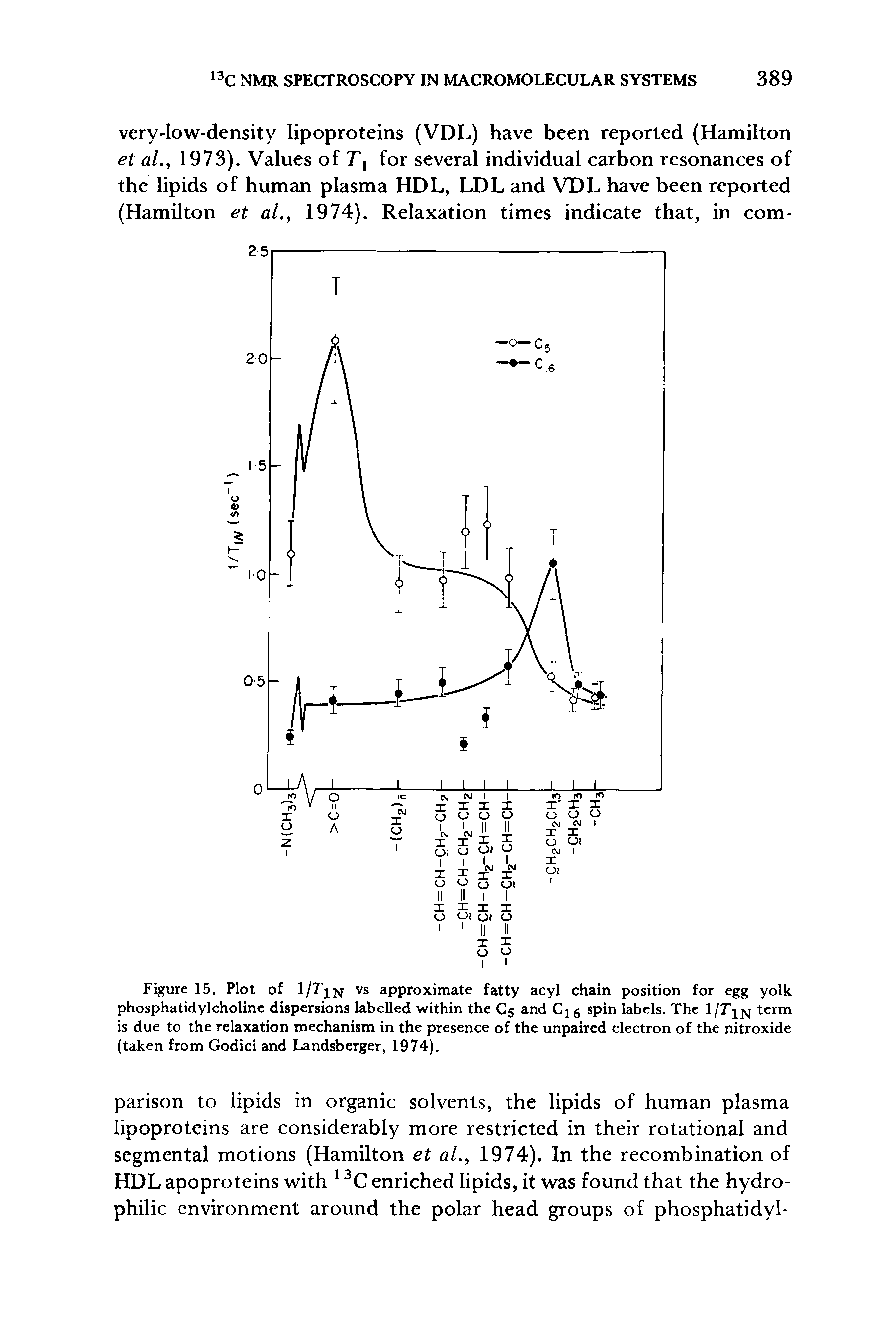 Figure 15. Plot of 1/7 jn vs approximate fatty acyl chain position for egg yolk phosphatidylcholine dispersions labelled within the C5 and spin labels. The l/ term is due to the relaxation mechanism in the presence of the unpaired electron of the nitroxide (taken from Godici and Landsberger, 1974).