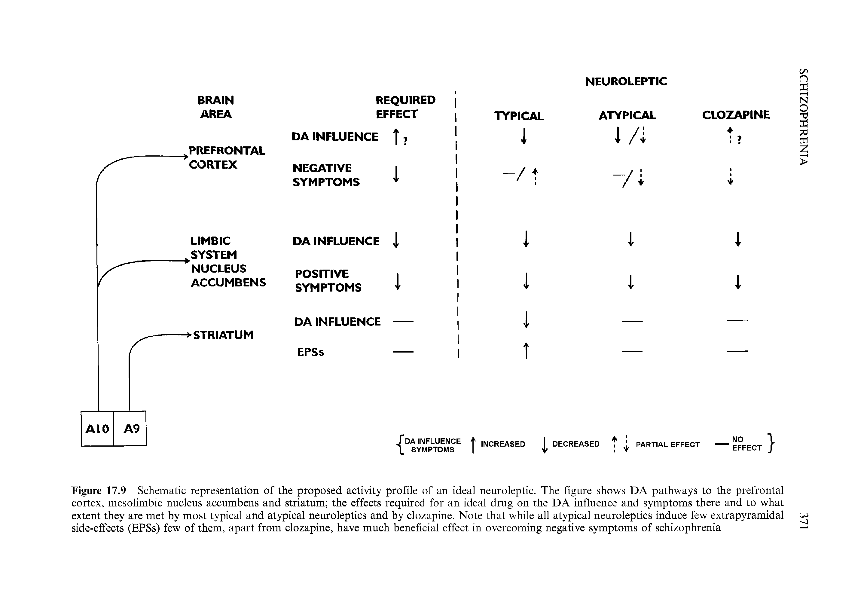 Figure 17.9 Schematic representation of the proposed activity profile of an ideal neuroleptic. The figure shows DA pathways to the prefrontal cortex, mesolimbic nucleus accumbens and striatum the effects required for an ideal drug on the DA influence and symptoms there and to what extent they are met by most typical and atypical neuroleptics and by clozapine. Note that while all atypical neuroleptics induce few extrapyramidal w side-effects (EPSs) few of them, apart from clozapine, have much beneficial effect in overcoming negative symptoms of schizophrenia ...