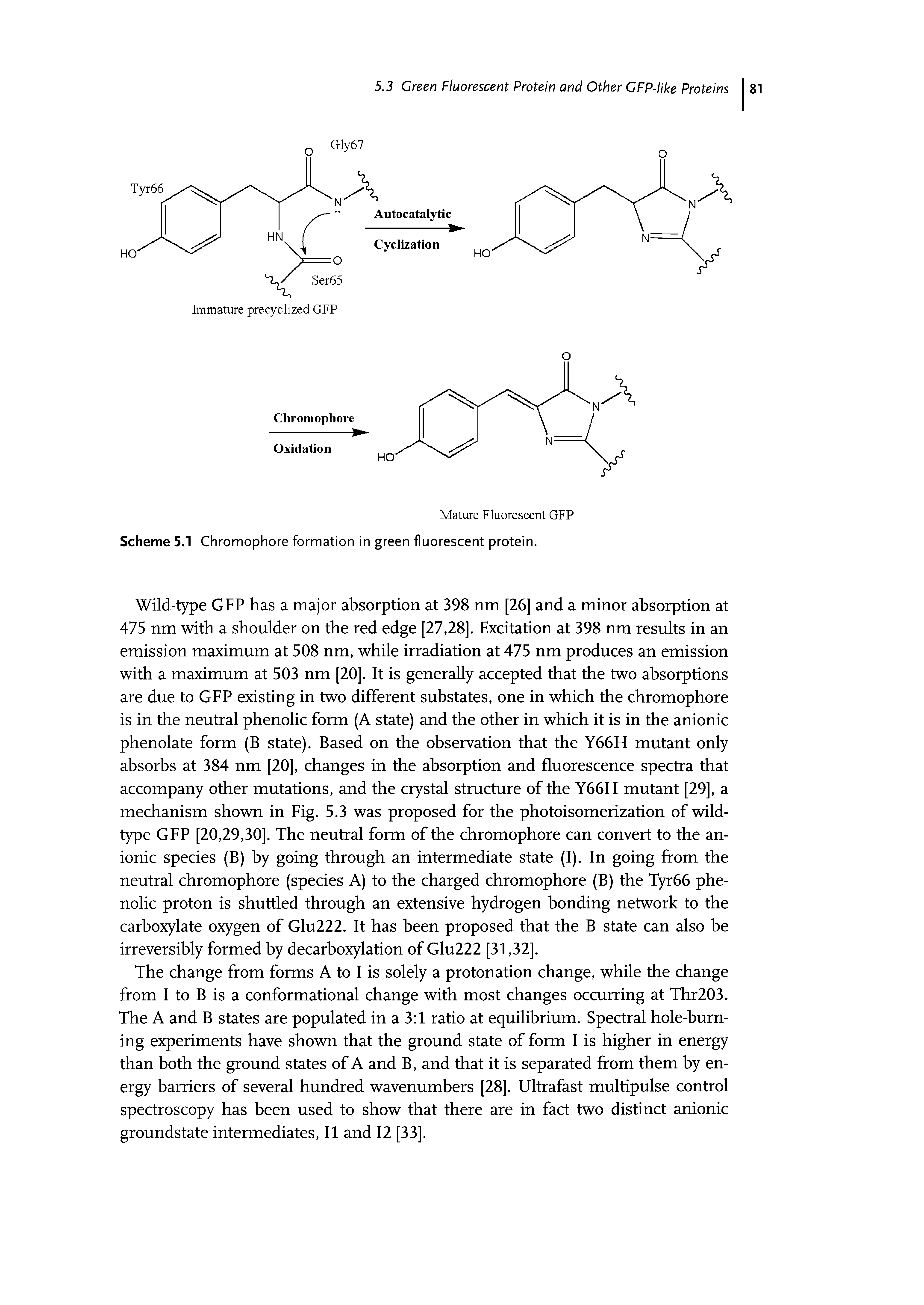 Scheme 5.1 Chromophore formation in green fluorescent protein.
