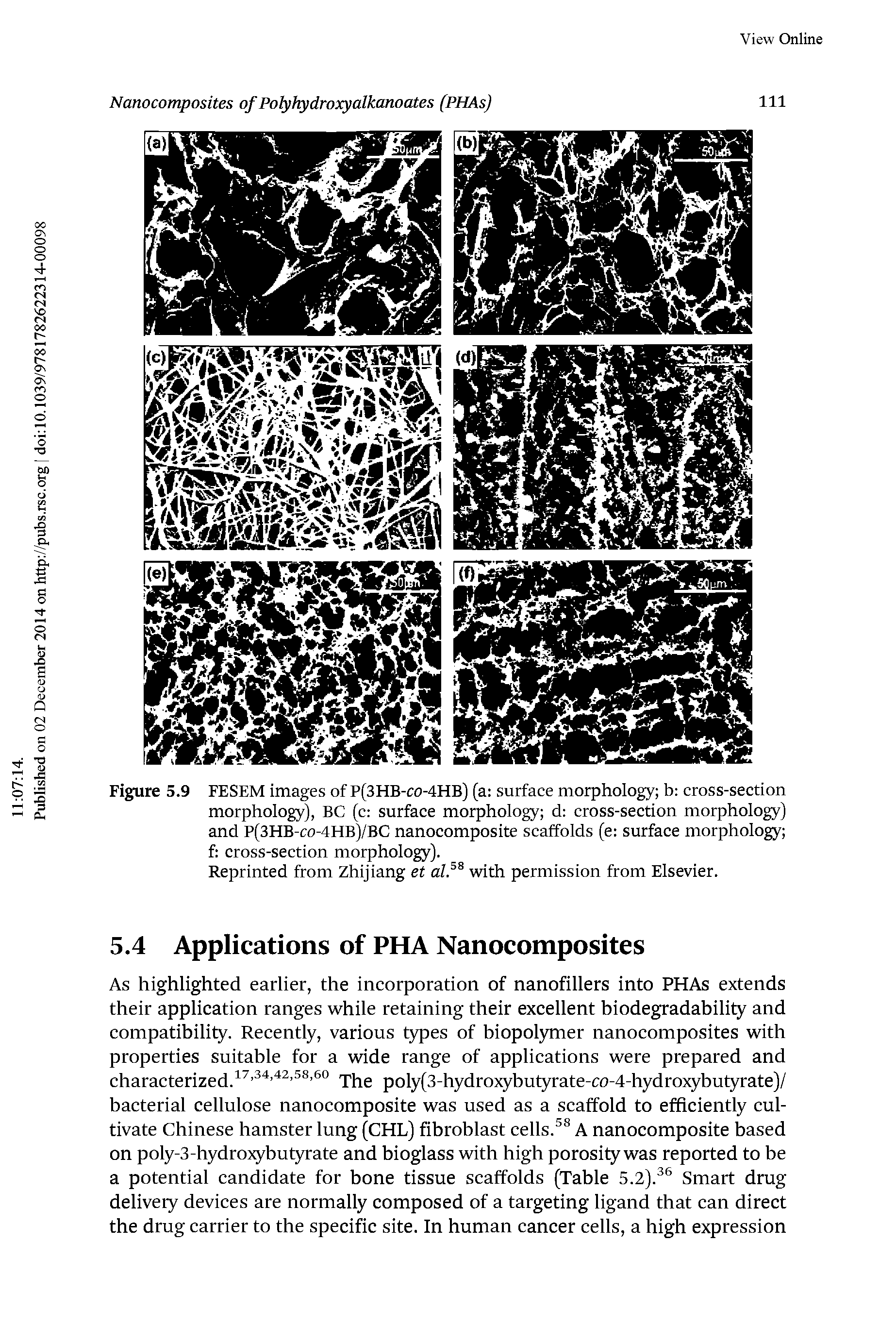 Figure 5.9 FESEM images of P(3HB-co-4HB) (a surface morphology b cross-section morphology), BC (c surface morphology d cross-section morphology) and P(3HB-co-4HB)/BC nanocomposite scaffolds (e surface morphology f cross-section morphology).