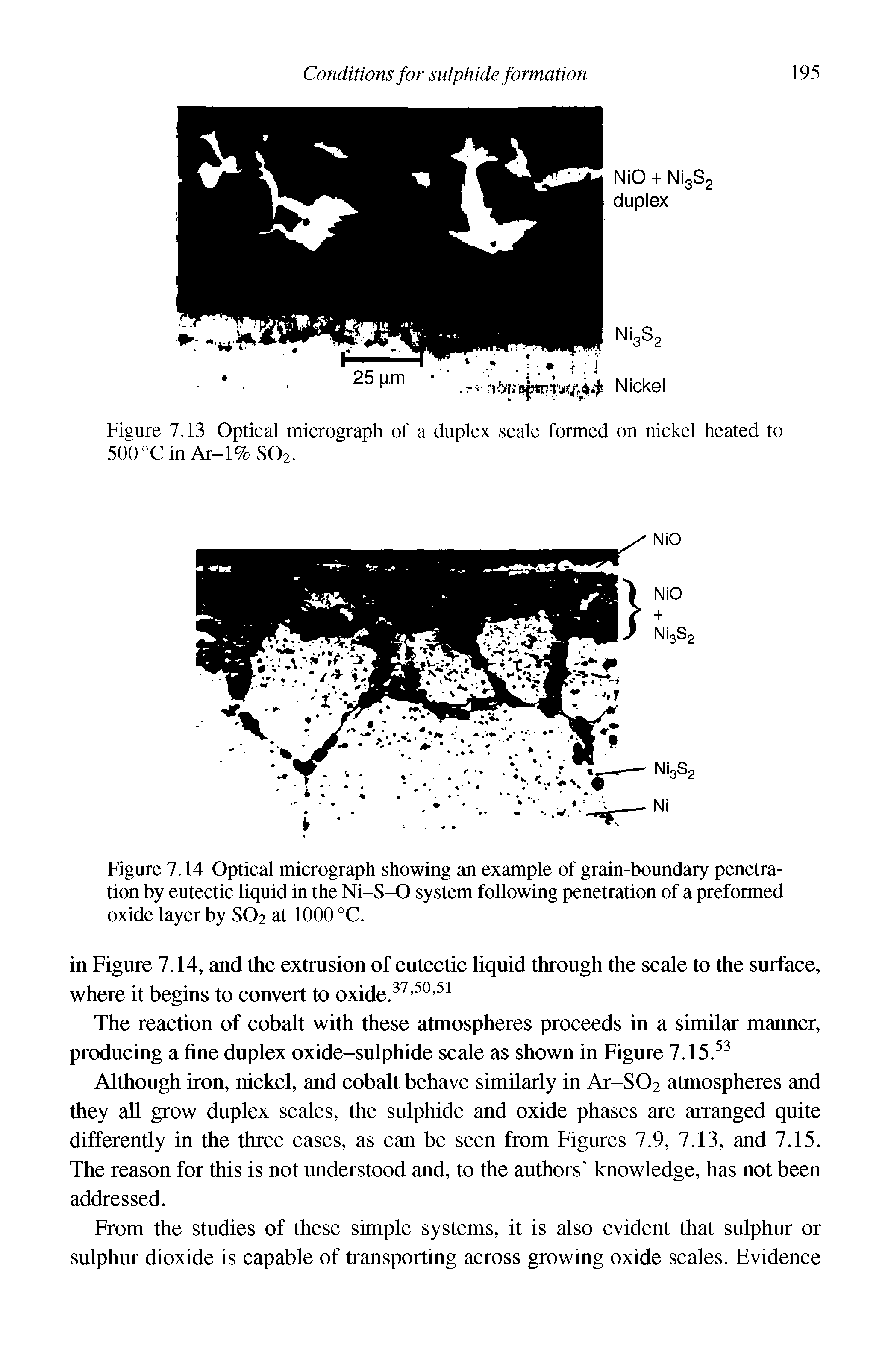 Figure 7.13 Optical micrograph of a duplex scale formed on nickel heated to 500°CinAr-l%S02.