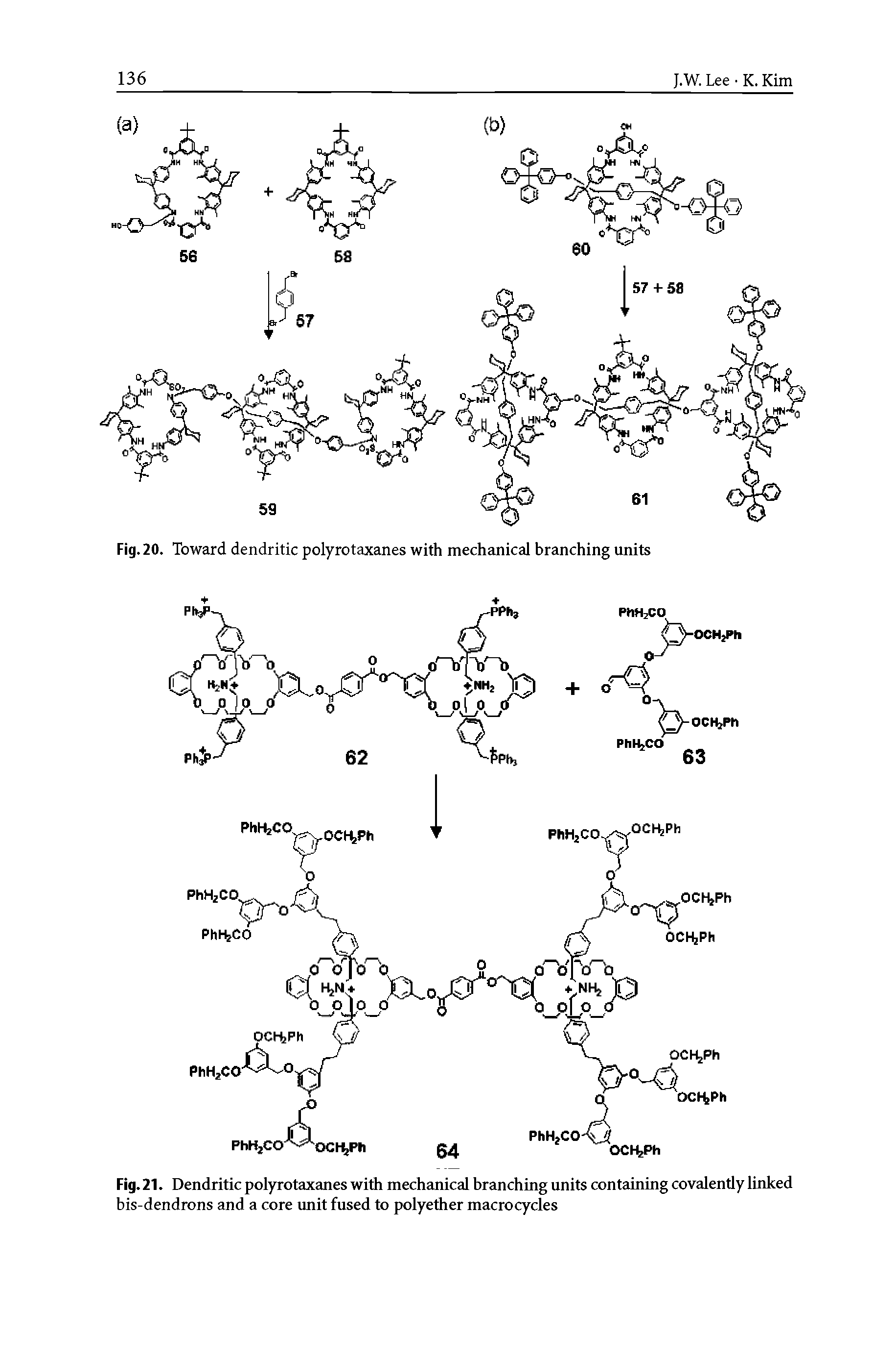 Fig. 21. Dendritic polyrotaxanes with mechanical branching units containing covalently linked bis-dendrons and a core imit fused to polyether macrocycles...