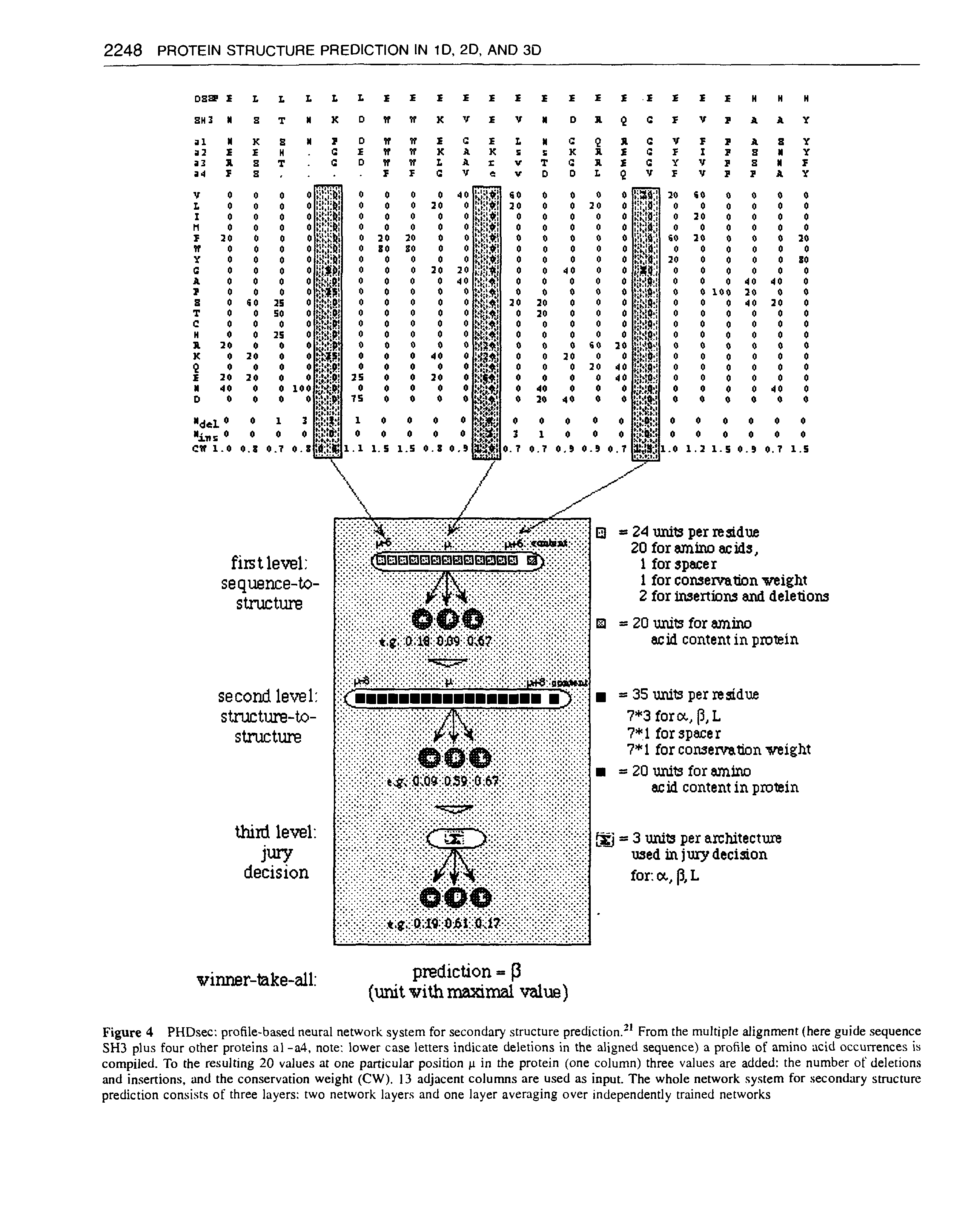 Figure 4 PHDsec profile-based neural network system for secondary structure prediction. From the multiple alignment (here guide sequence SH3 plus four other proteins al -a4, note lower case letters indicate deletions in the aligned sequence) a profile of amino acid occurrences is compiled. To the resulting 20 values at one particular position p in the protein (one column) three values are added the number of deletions and insertions, and the conservation weight (CW). 13 adjacent columns are used as input. The whole network system for. secondary structure prediction consists of three layers two network layers and one layer averaging over independently trained networks...