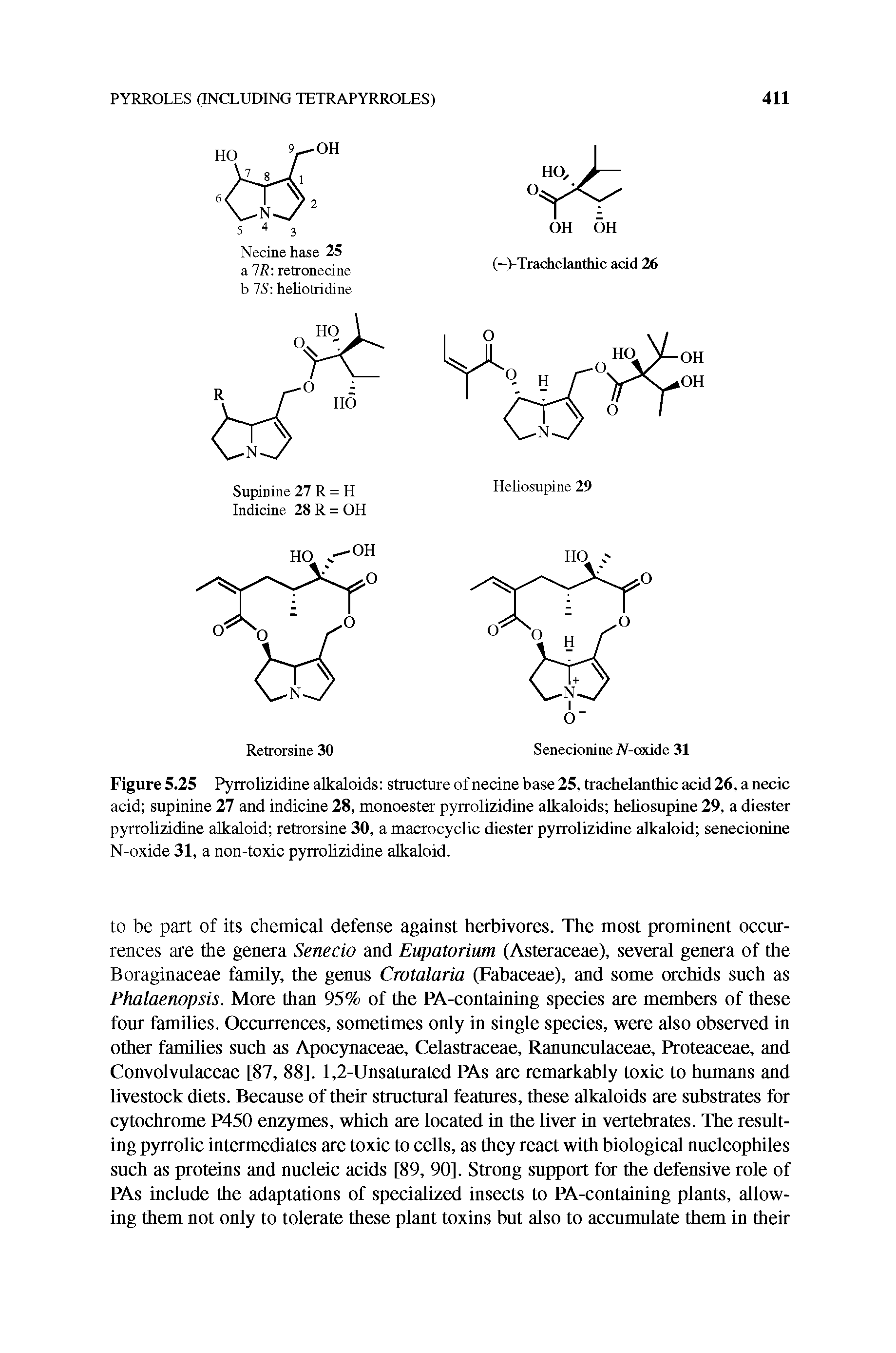 Figure 5.25 Pyrrolizidine alkaloids structure of necine base 25, trachelanthic acid 26, a necic acid supinine 27 and indicine 28, monoester pyrrolizidine alkaloids heliosupme 29, a diester pyrrolizidine alkaloid retrorsine 30, a macrocyclic diester pyrrolizidine alkaloid senecionine N-oxide 31, a non-toxic pyrrolizidine alkaloid.