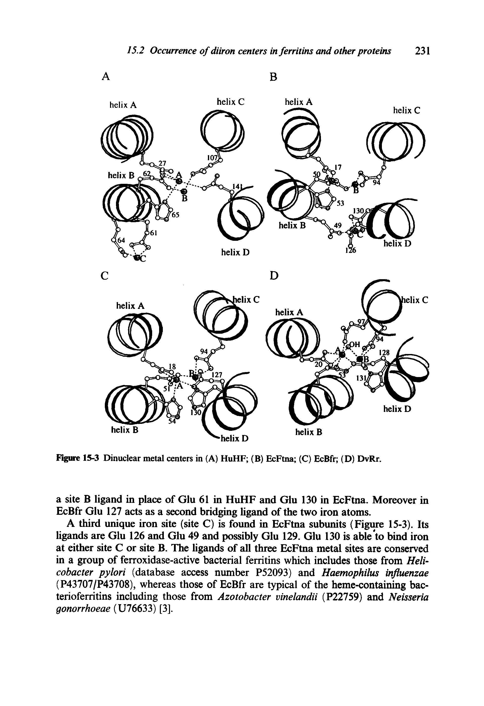 Figure 15-3 Dinuclear metal centers in (A) HuHF (B) EcFtna (C) EcBfr (D) DvRr.