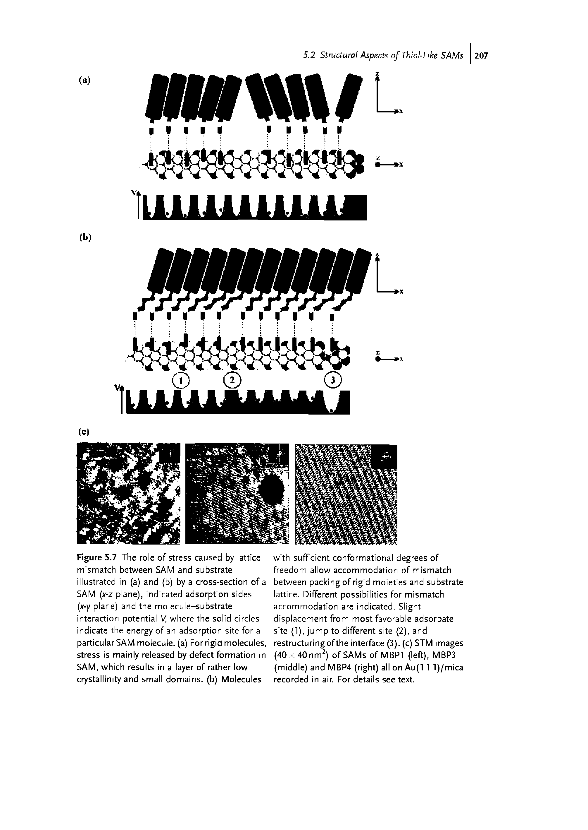Figure 5.7 The role of stress caused by lattice mismatch between SAM and substrate illustrated in (a) and (b) by a cross-section of a SAM (x-z plane), indicated adsorption sides (x-y plane) and the molecule-substrate interaction potential V where the solid circles indicate the energy of an adsorption site for a particular SAM molecule, (a) For rigid molecules, stress is mainly released by defect formation in SAM, which results in a layer of rather low crystallinity and small domains, (b) Molecules...