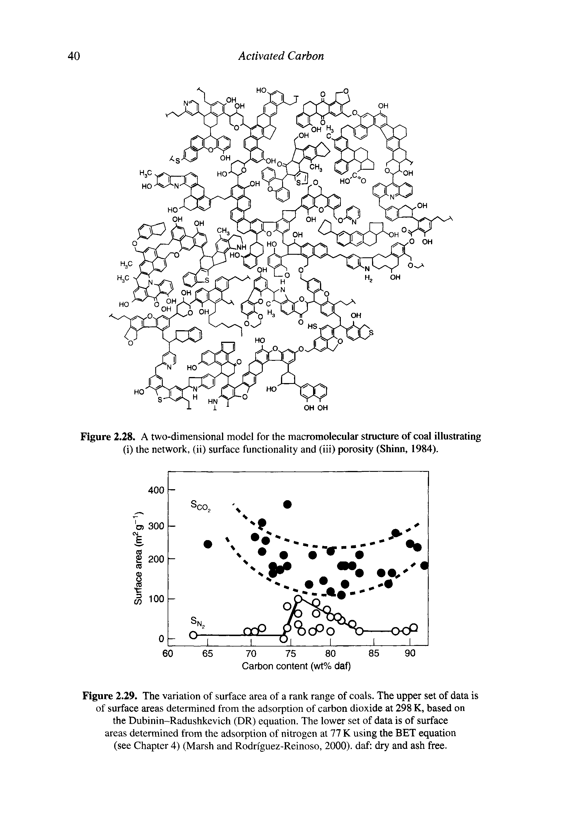 Figure 2.28. A two-dimensional model for the macromolecular structure of coal illustrating (i) the network, (ii) surface functionality and (iii) porosity (Shinn, 1984).