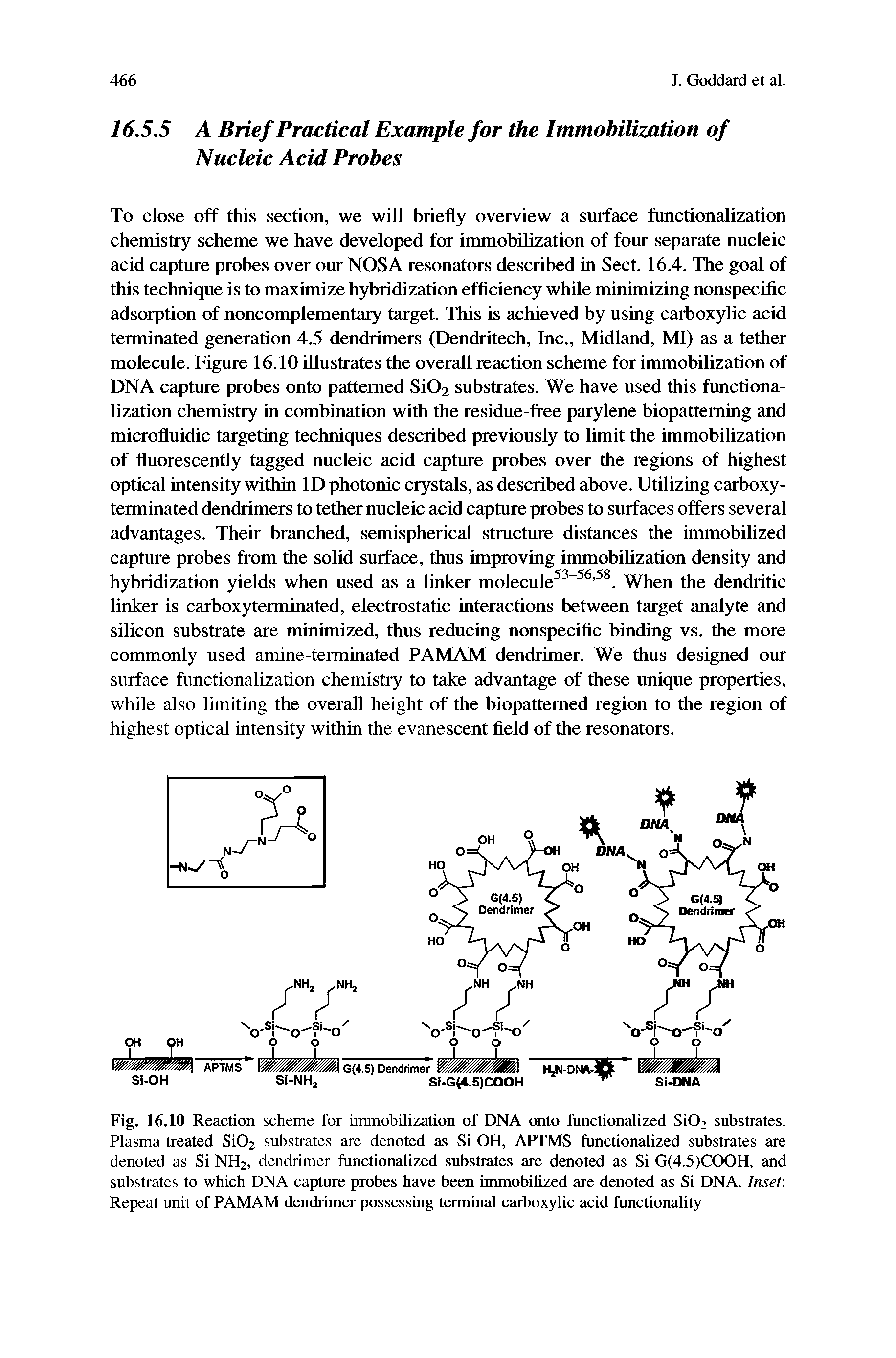 Fig. 16.10 Reaction scheme for immobilization of DNA onto functionalized Si02 substrates. Plasma treated Si02 substrates are denoted as Si OH, APTMS functionalized substrates are denoted as Si NH2, dendrimer functionalized substrates are denoted as Si G(4.5)COOH, and substrates to which DNA capture probes have been immobilized are denoted as Si DNA. Inset Repeat unit of PAMAM dendrimer possessing terminal carboxylic acid functionality...