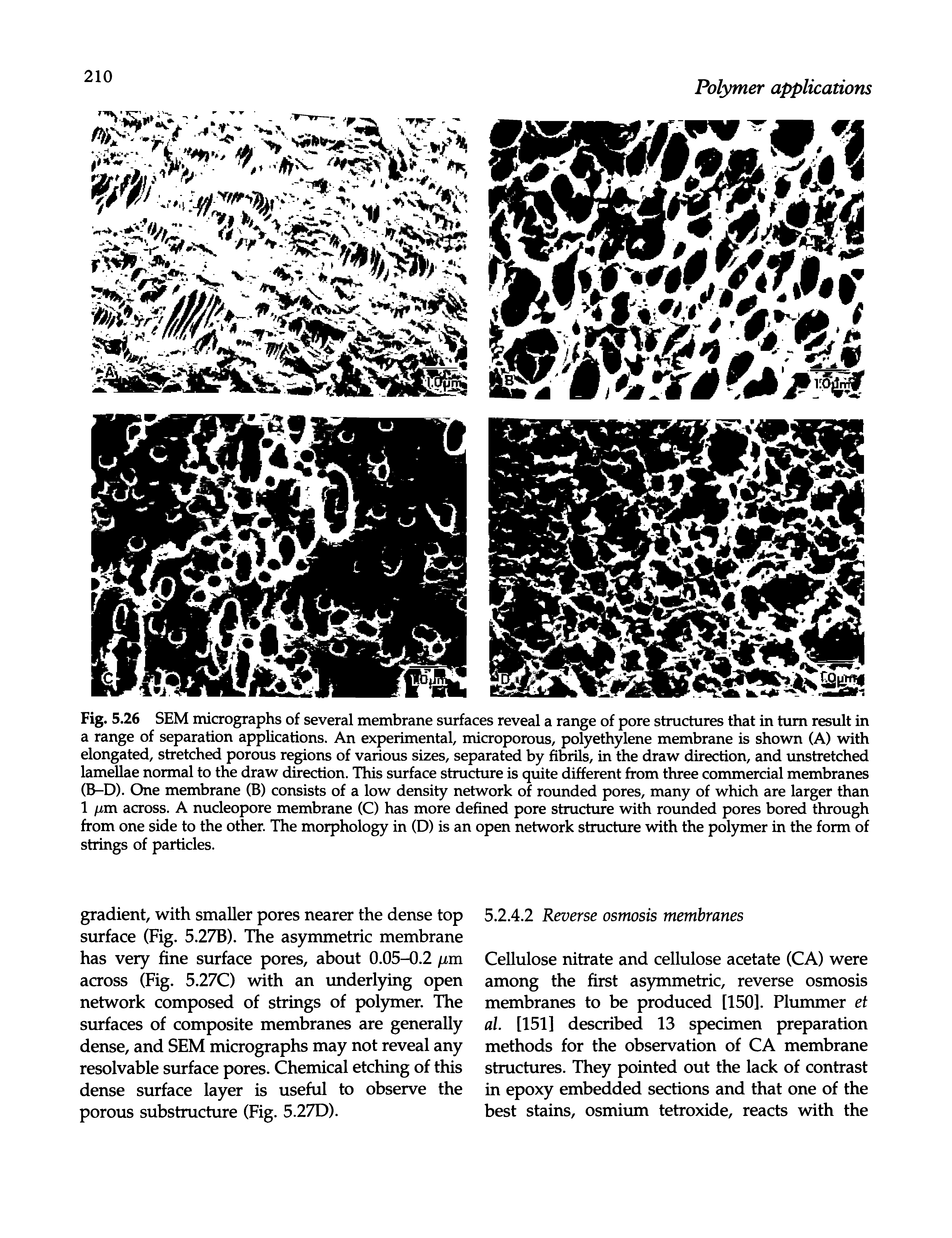 Fig. 5.26 SEM micrographs of several membrane surfaces reveal a range of pore structures that in turn result in a range of separation applications. An experimental, microporous, polyethylene membrane is shown (A) with elongated, stretched porous regions of various sizes, separated by fibrils, in the draw direction, and unstretched lamellae normal to the draw direction. This surface structure is quite different from three commercial membranes (B-D). One membrane (B) consists of a low density network of rounded pores, many of which are larger than 1 /im across. A nucleopore membrane (C) has more defined pore structure with rounded pores bored through from one side to the other. The morphology in (D) is an open network structure with the polymer in the form of strings of particles.