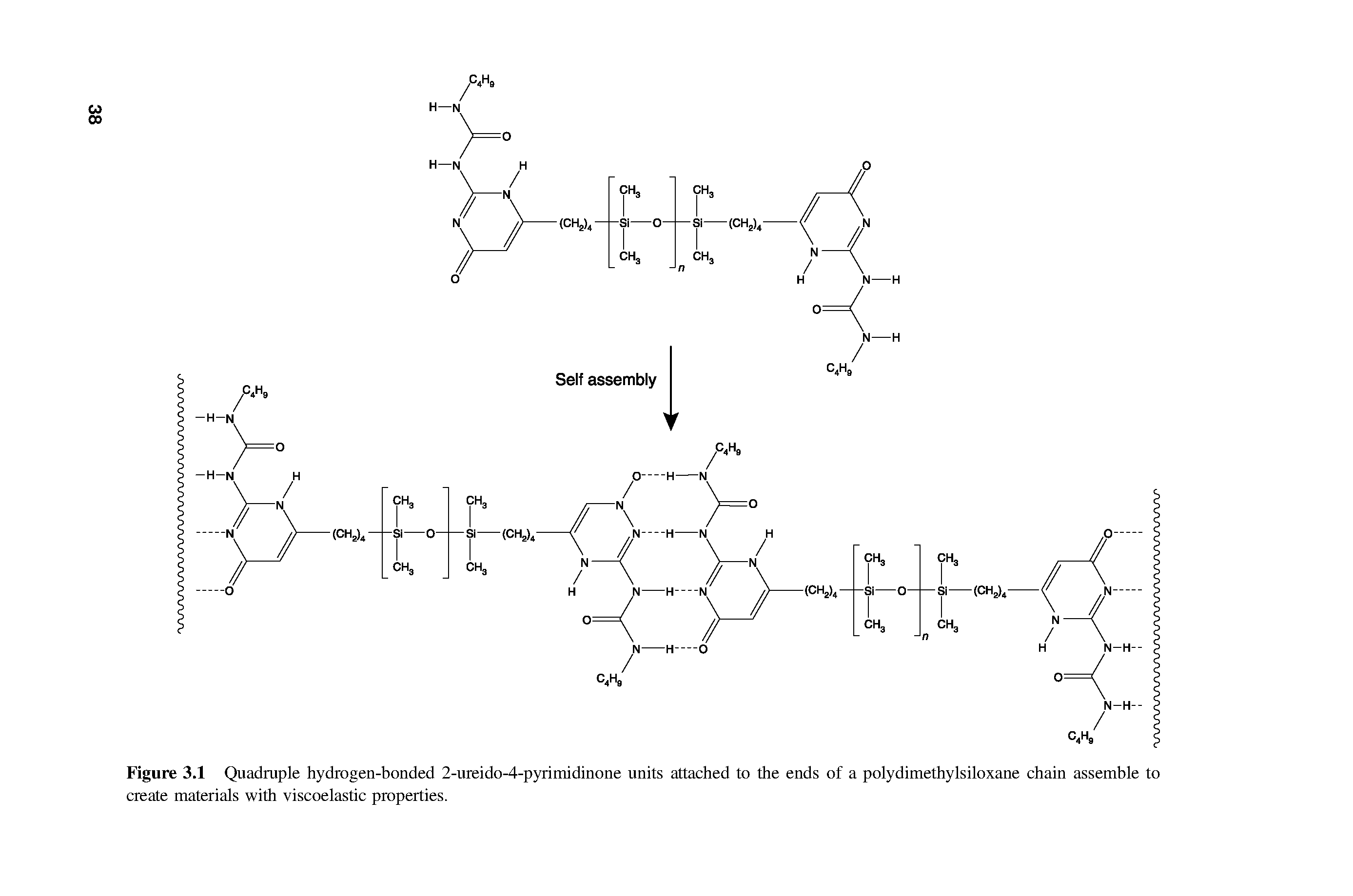 Figure 3.1 Quadruple hydrogen-bonded 2-ureido-4-pyrimidinone units attached to the ends of a polydimethylsiloxane chain assemble to create materials with viscoelastic properties.