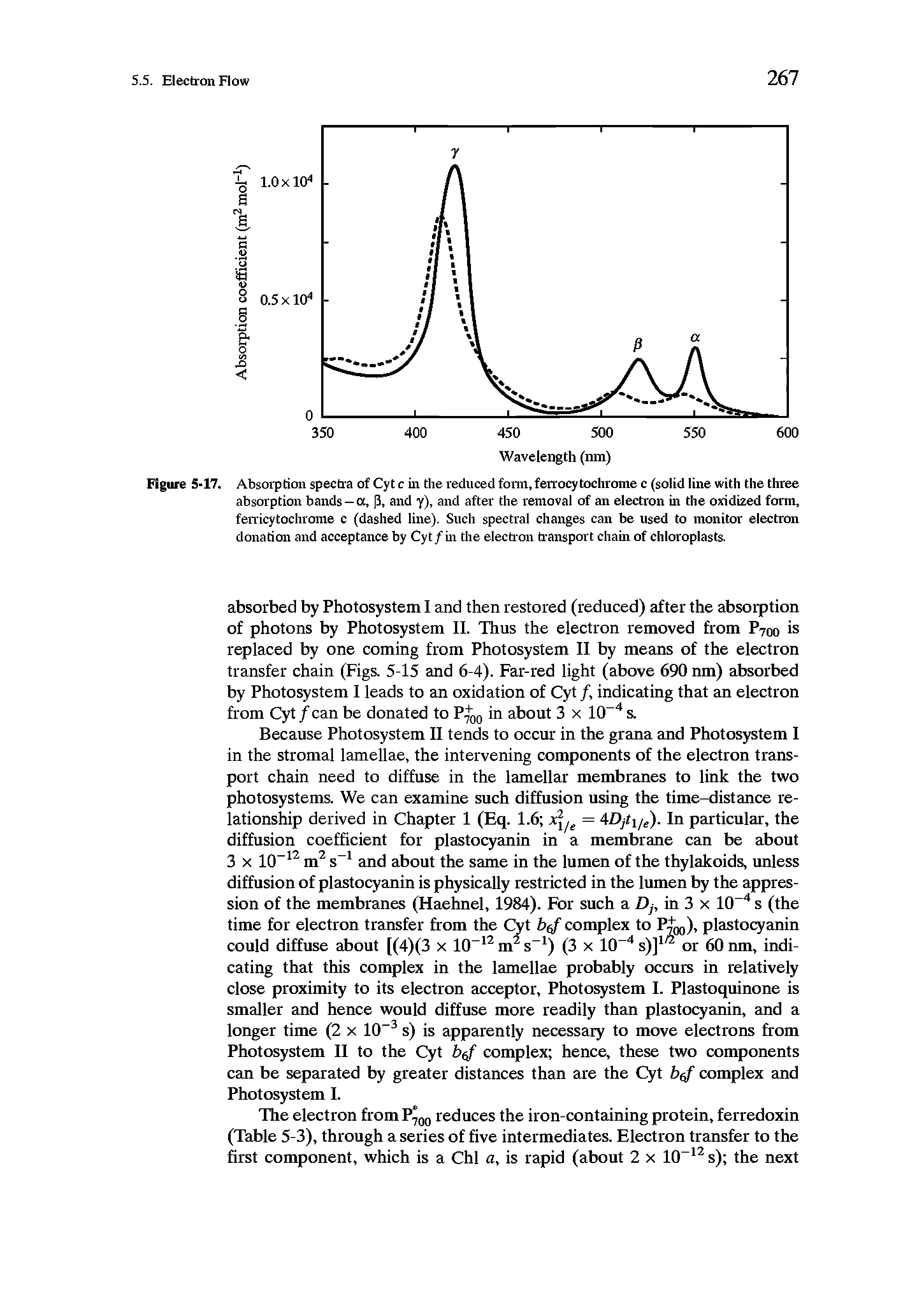 Figure 5-17. Absorption spectra of Cyt c in the reduced form, ferrocytochrome c (solid line with the three absorption bands —a, (3, and y), and after the removal of an electron in the oxidized form, ferricytochrome c (dashed line). Such spectral changes can be used to monitor electron donation and acceptance by Cyt/in the electron transport chain of chloroplasts.