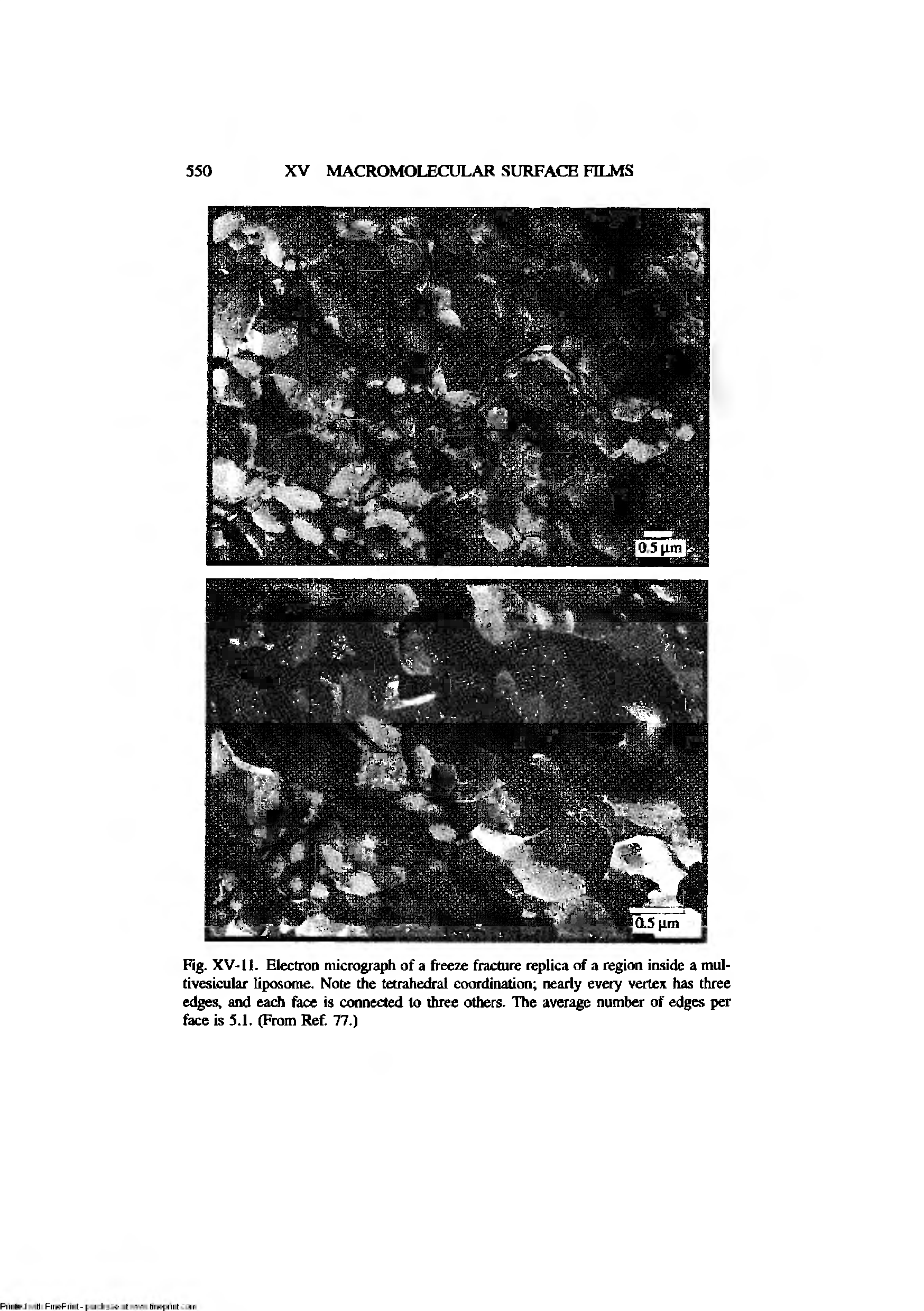 Fig. XV-11. Electron micrograph of a freeze fracture replica of a region inside a mul-tivesicular liposome. Note the tetrahedral coordination nearly every vertex has three edges, and each face is connected to three others. The average number of edges per face is 5.1. (From Ref. 77.)...