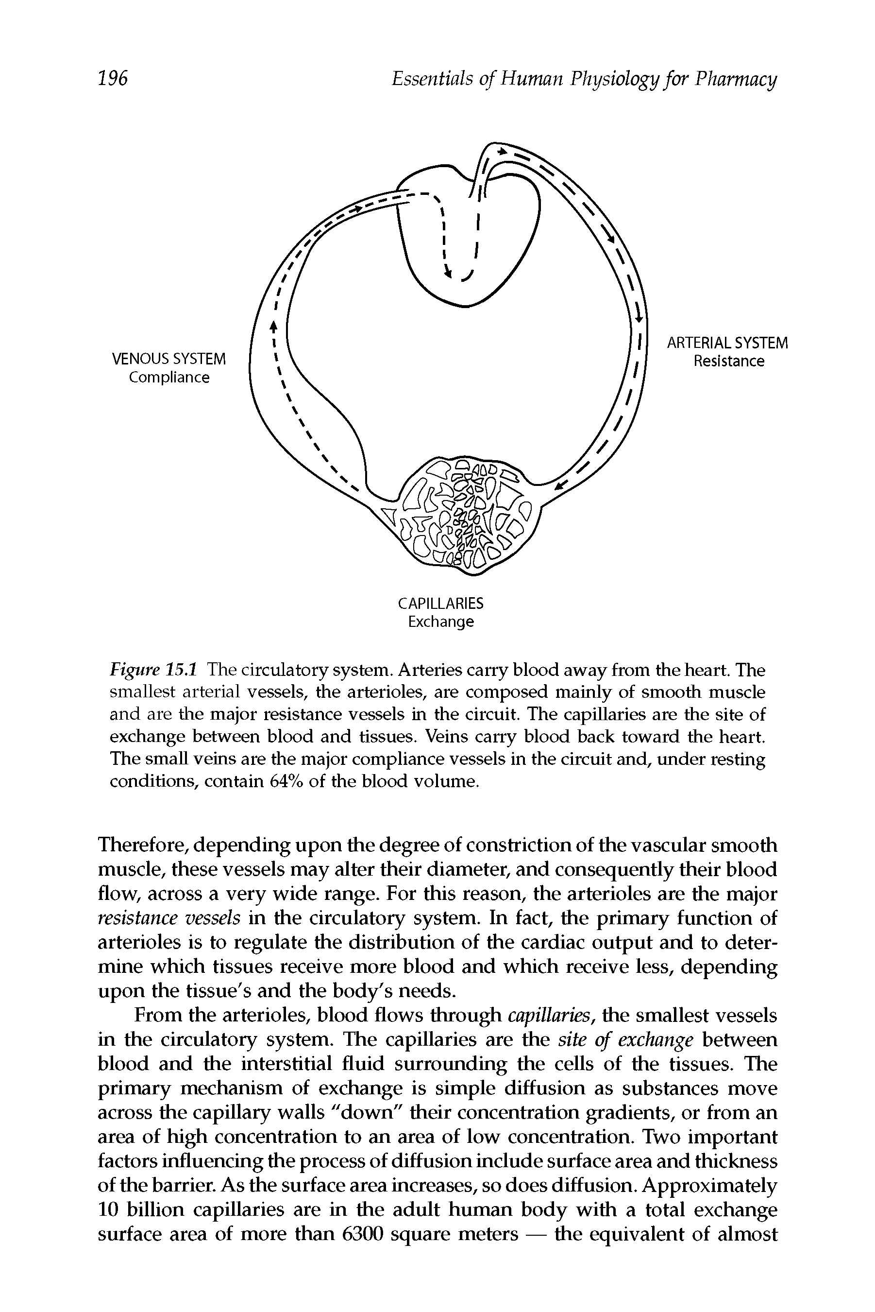 Figure 15.1 The circulatory system. Arteries carry blood away from the heart. The smallest arterial vessels, the arterioles, are composed mainly of smooth muscle and are the major resistance vessels in the circuit. The capillaries are the site of exchange between blood and tissues. Veins carry blood back toward the heart. The small veins are the major compliance vessels in the circuit and, under resting conditions, contain 64% of the blood volume.