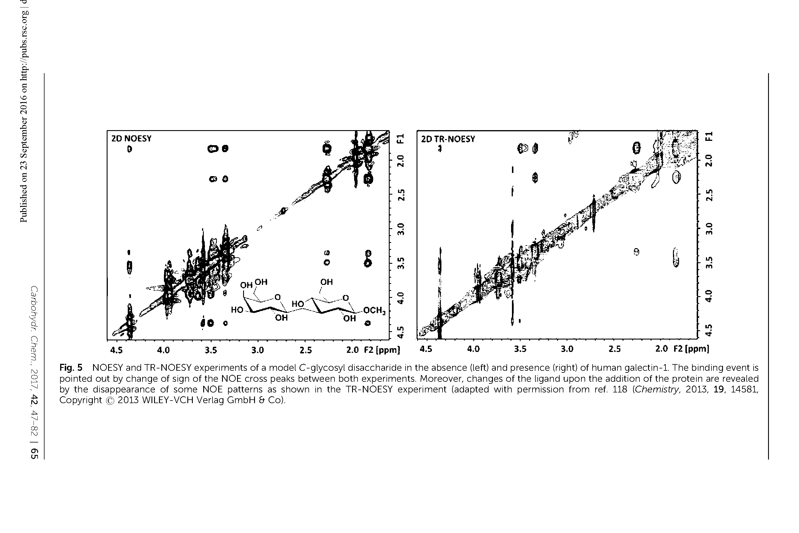 Fig. 5 NOESY and TR-NOESY experiments of a model C-glycosyl disaccharide in the absence (left) and presence (right) of human galectin-1. The binding event is pointed out by change of sign of the NOE cross peaks between both experiments. Moreover, changes of the ligand upon the addition of the protein are revealed by the disappearance of some NOE patterns as shown in the TR-NOESY experiment (adapted with permission from ref. 118 (Chemistry, 2013, 19, 14581, Copyright 2013 WILEY-VCH Verlag GmbH Co).