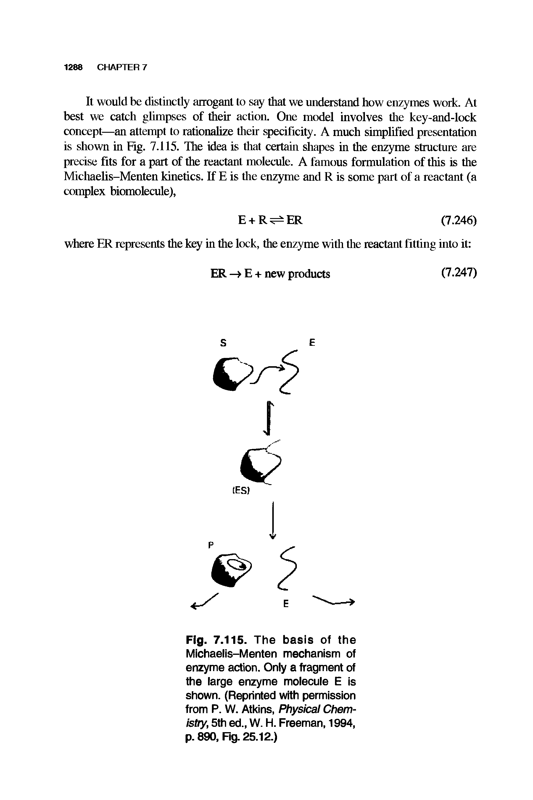 Fig. 7.1 15. The basis of the Michaelis-Menten mechanism of enzyme action. Only a fragment of the large enzyme molecule E is shown. (Reprinted with permission from P. W. Atkins, Physical Chemistry, 5th ed., W. H. Freeman, 1994, p. 890, Fig. 25.12.)...