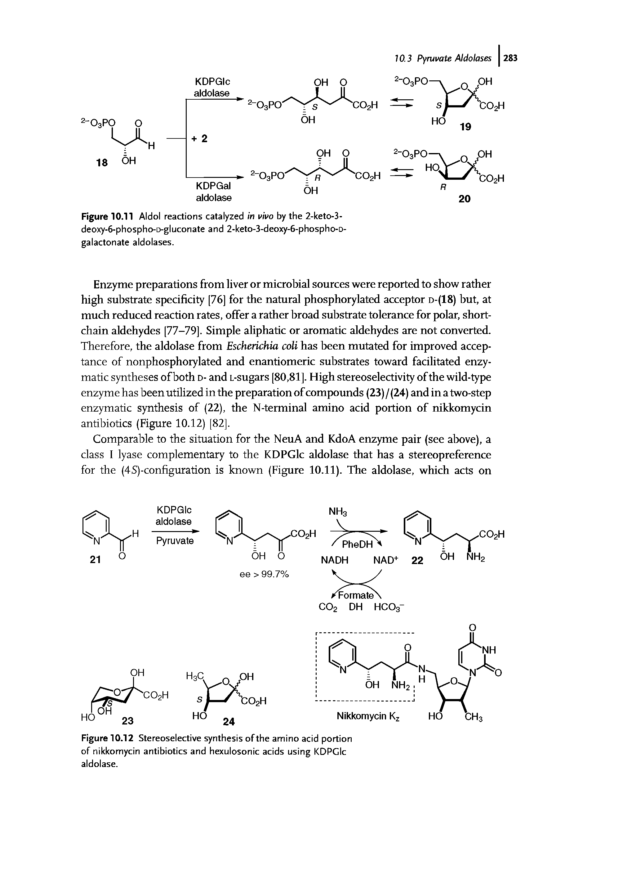 Figure 10.12 Stereoselective synthesis ofthe amino acid portion of nikkomycin antibiotics and hexulosonic acids using KDPGIc aldolase.