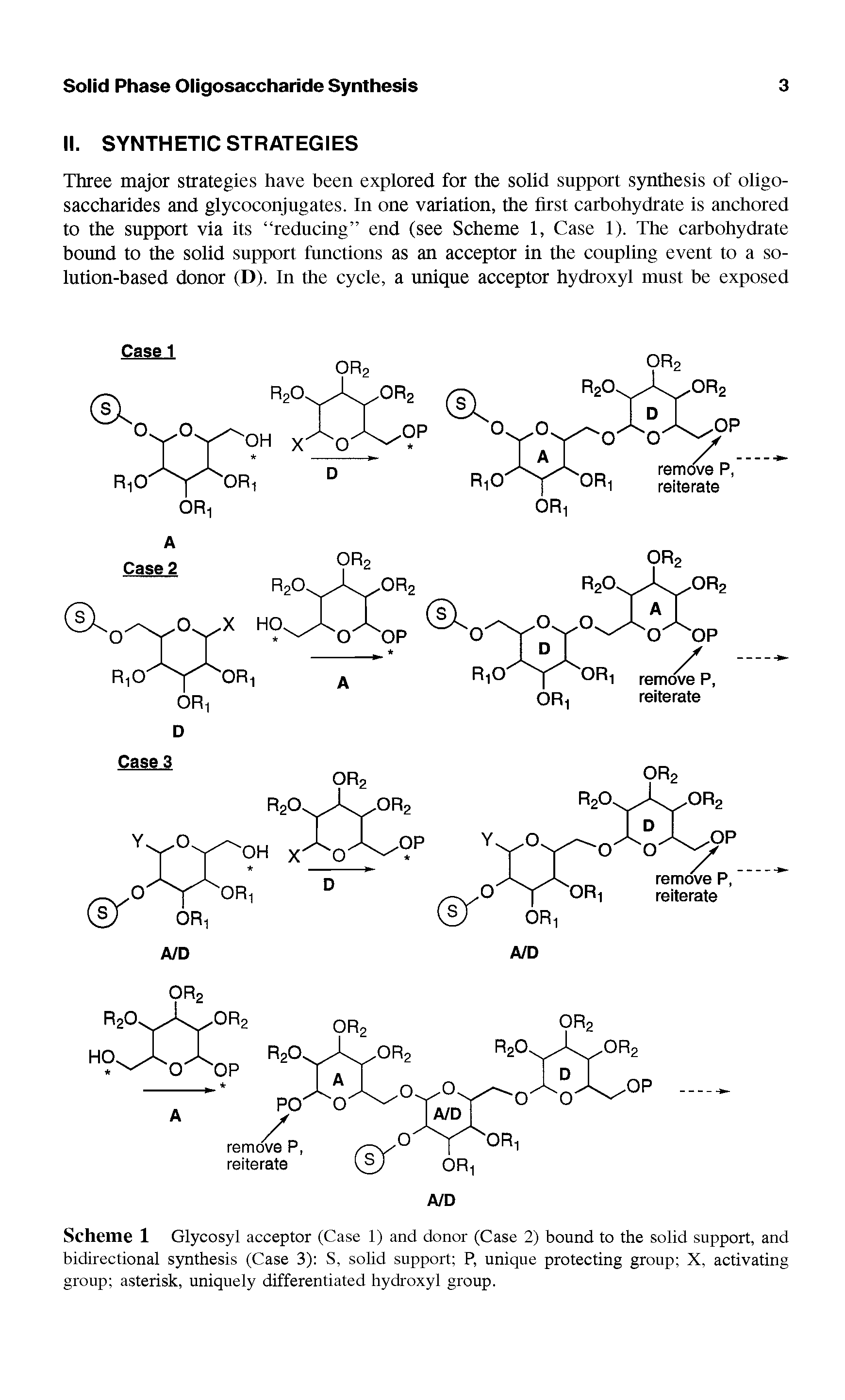Scheme 1 Glycosyl acceptor (Case 1) and donor (Case 2) bound to the solid support, and bidirectional synthesis (Case 3) S, solid support P, unique protecting group X, activating group asterisk, uniquely differentiated hydroxyl group.