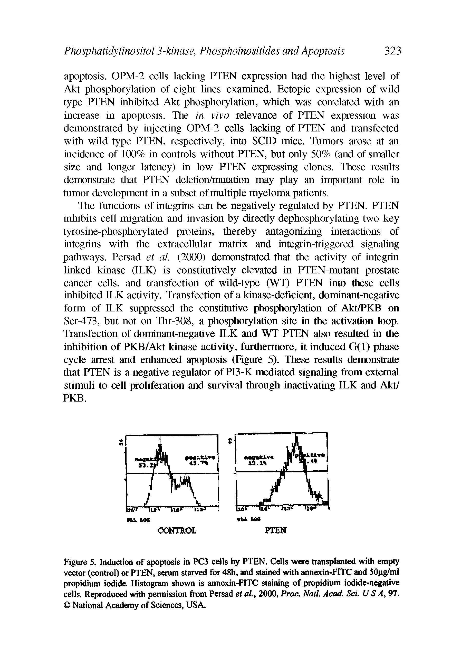 Figure 5. Induction of apoptosis in PC3 cells by PTEN. Cells were transplanted with empty vector (control) or PTEN, serum starved for 48h, and stained with annexin-FITC and SOpg/ml propidium iodide. Histogram shown is annexin-FITC staining of propidium iodide-negative cells. Reproduced with permission from Persad et al., 2000, Proc. Natl. Acad. Set. US A, 97. National Academy of Sciences, USA.