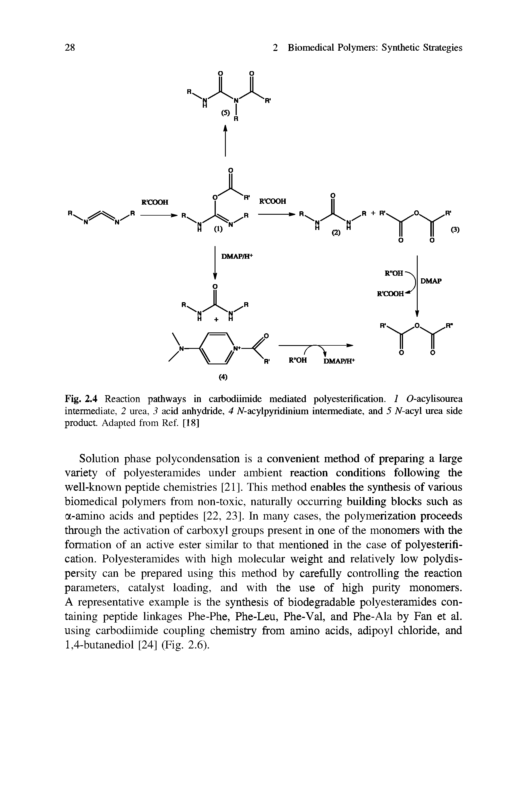 Fig. 2.4 Reaction pathways in caibodiimide mediated polyesterification. 1 O-acylisourea intermediate, 2 urea, 3 acid anhydride, 4 N-acylpyridinium intermediate, and 5 TV-acyl urea side product Adapted from Ref. [18]...