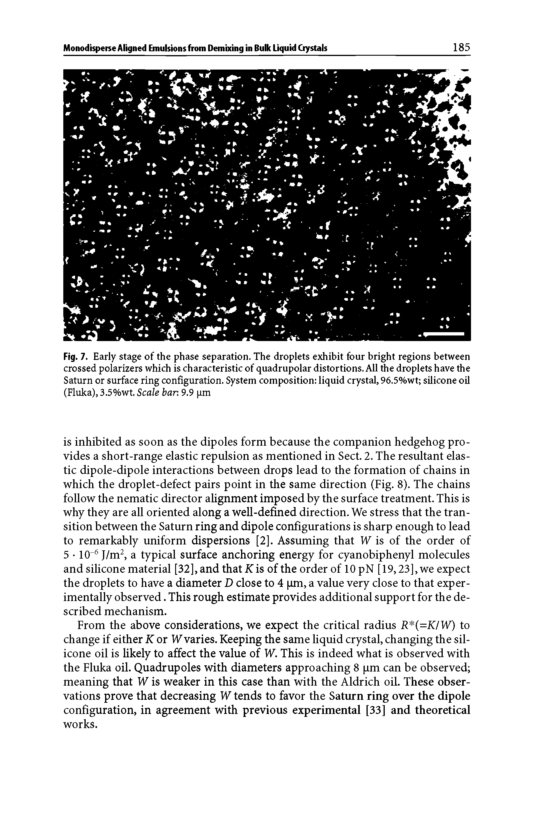Fig. 7. Early stage of the phase separation. The droplets exhibit four bright regions between crossed polarizers which is characteristic of quadrupolar distortions. AU the droplets have the Saturn or surface ring configuration. System composition liquid crystal, 96.5%wt silicone oil (Fluka), 3.5%wt. Scale bar 9.9 pm...