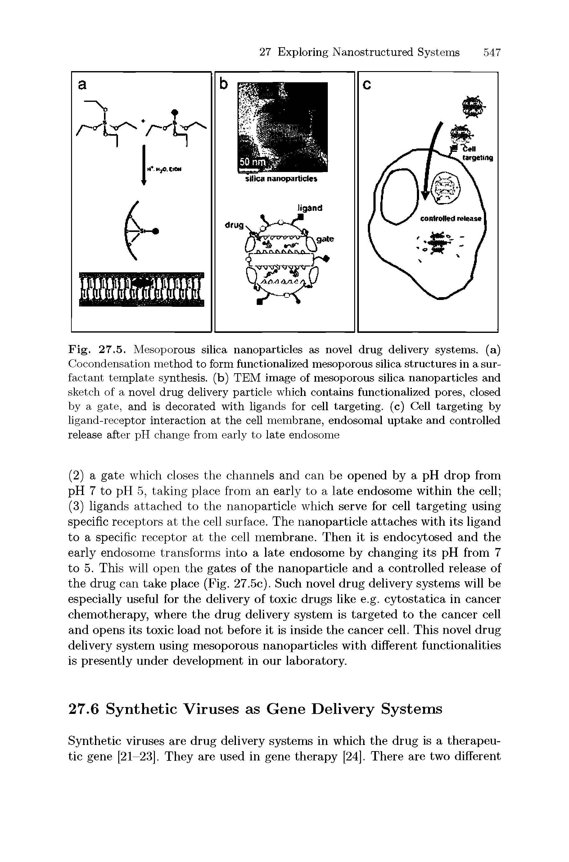 Fig. 27.5. Mesoporous silica nanoparticles as novel drug delivery systems, (a) Cocondensation method to form functionalized mesoporous silica structures in a surfactant template synthesis, (b) TEM image of mesoporous silica nanoparticles and sketch of a novel drug delivery particle which contains functionalized pores, closed by a gate, and is decorated with ligands for cell targeting, (c) Cell targeting by ligand-receptor interaction at the cell membrane, endosomal uptake and controlled release after pH change from early to late endosome...