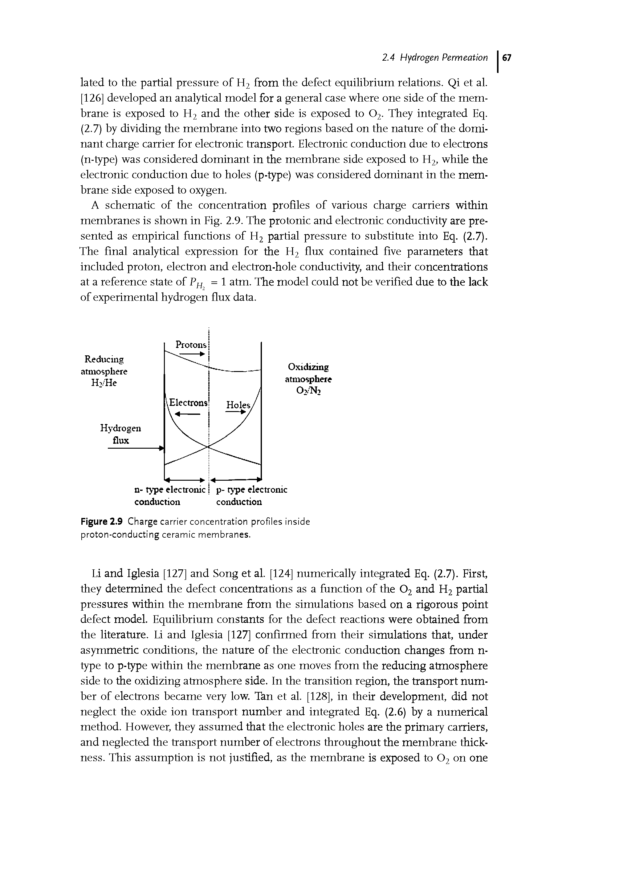 Figure 2.9 Charge carrier concentration profiies inside proton-conducting ceramic membranes.