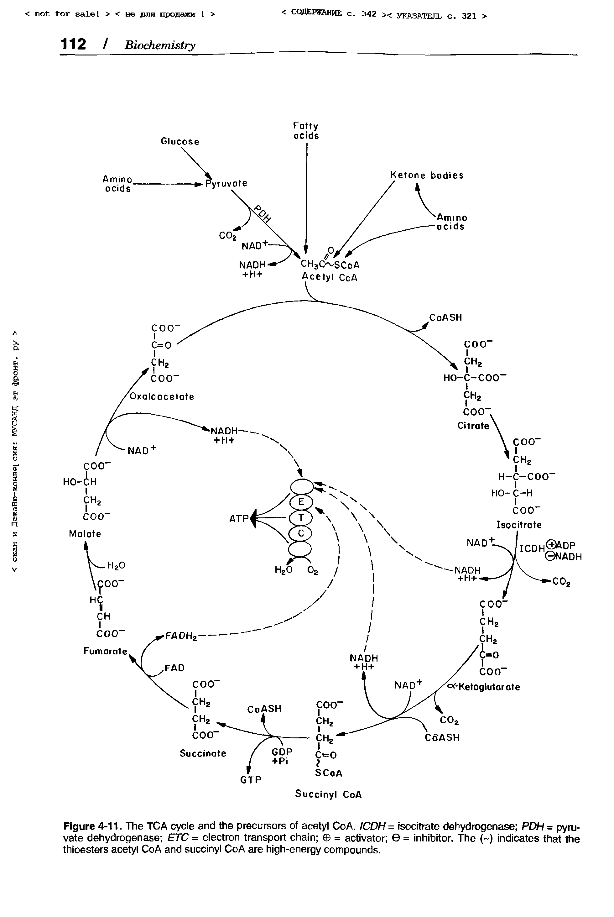 Figure 4-11. The TCA cycle and the precursors of acetyl CoA. ICDH = isocitrate dehydrogenase PDH= pyruvate dehydrogenase ETC = electron transport chain = activator 0 = inhibitor. The ( ) indicates that the thioesters acetyl CoA and succinyl CoA are high-energy compounds.