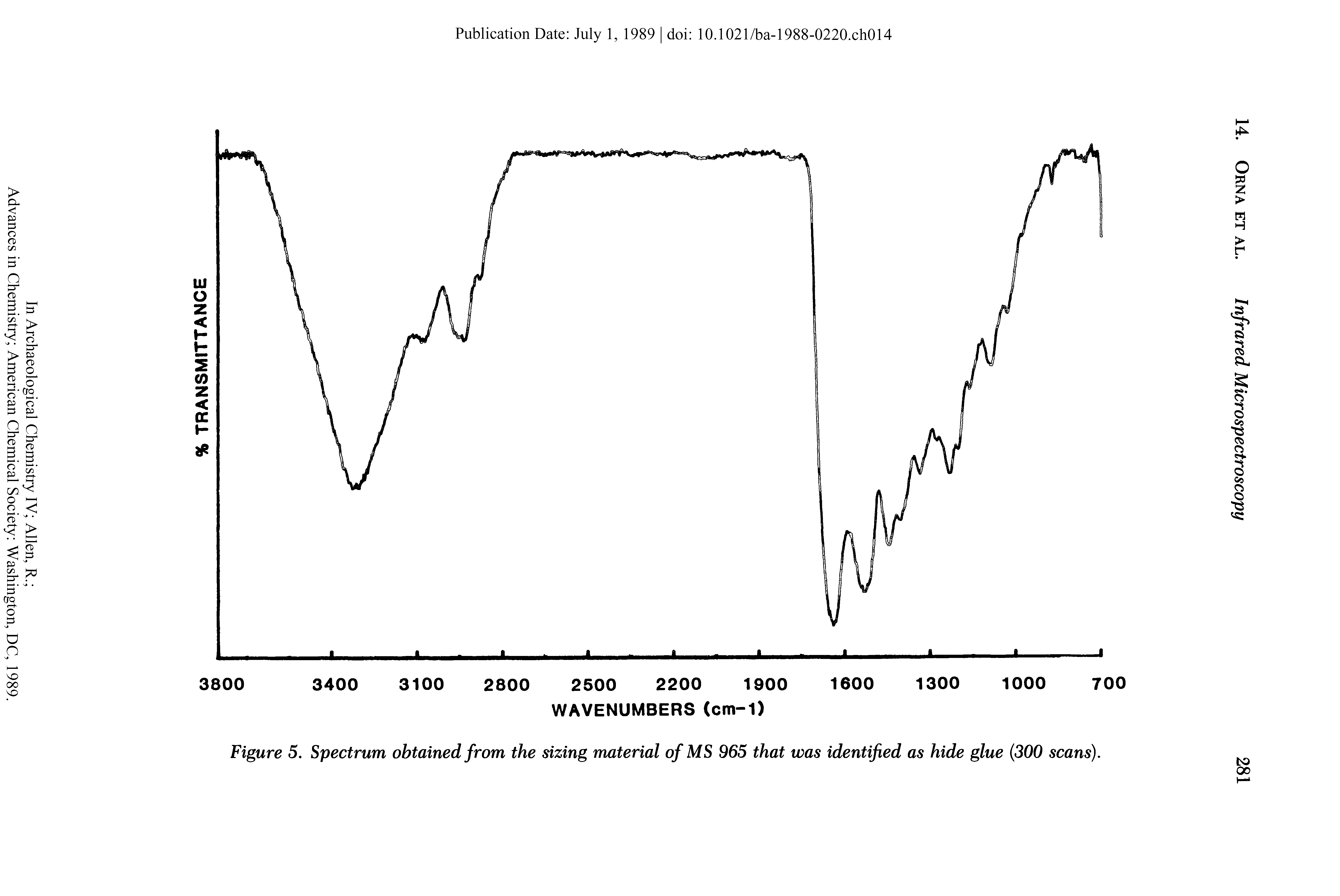 Figure 5. Spectrum obtained from the sizing material of MS 965 that was identified as hide glue (300 scans).
