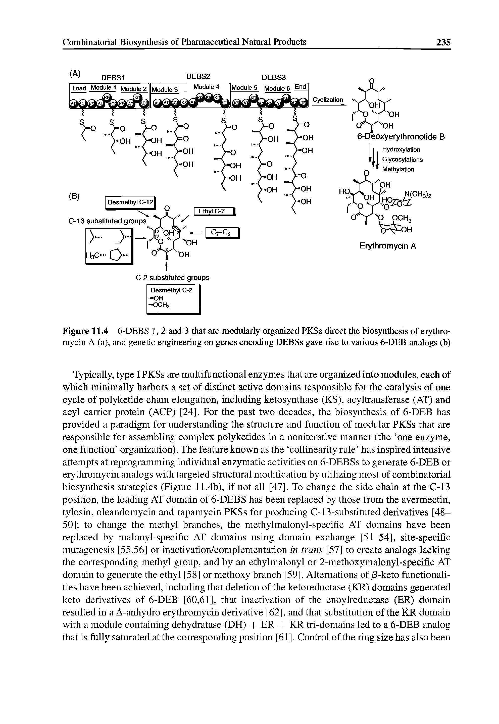 Figure 11.4 6-DEBS 1, 2 and 3 that are modularly organized PKSs direct the biosynthesis of erythromycin A (a), and genetic engineering on genes encoding DEBSs gave rise to various 6-DEB analogs (b)...