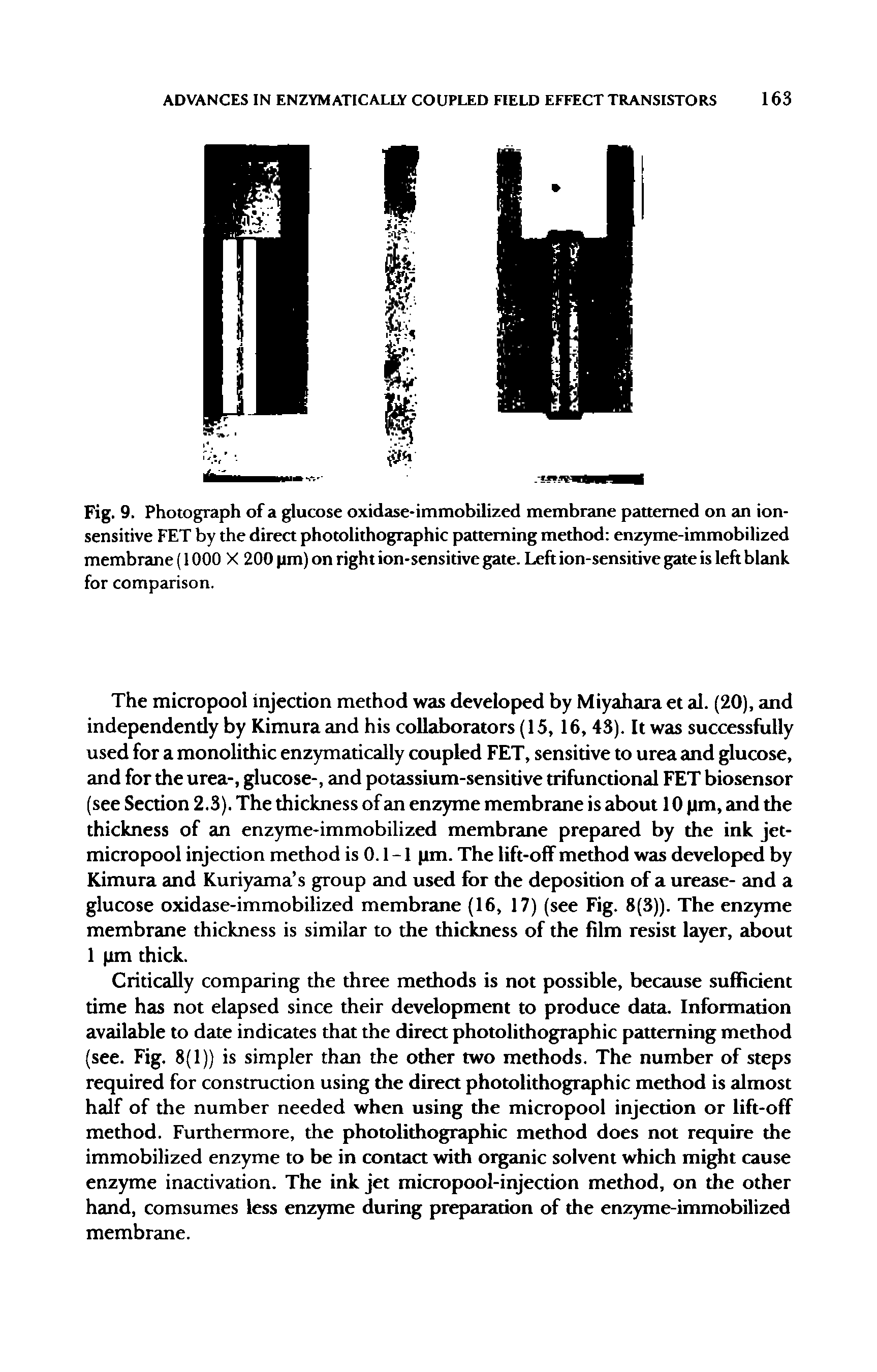 Fig. 9. Photograph of a glucose oxidase-immobilized membrane patterned on jui ion-sensitive FET by the direct photolithographic patterning method enzyme-immobilized membrane (1000 X 200 pm) on right ion-sensitive gate. Left ion-sensitive gate is left blank for comparison.