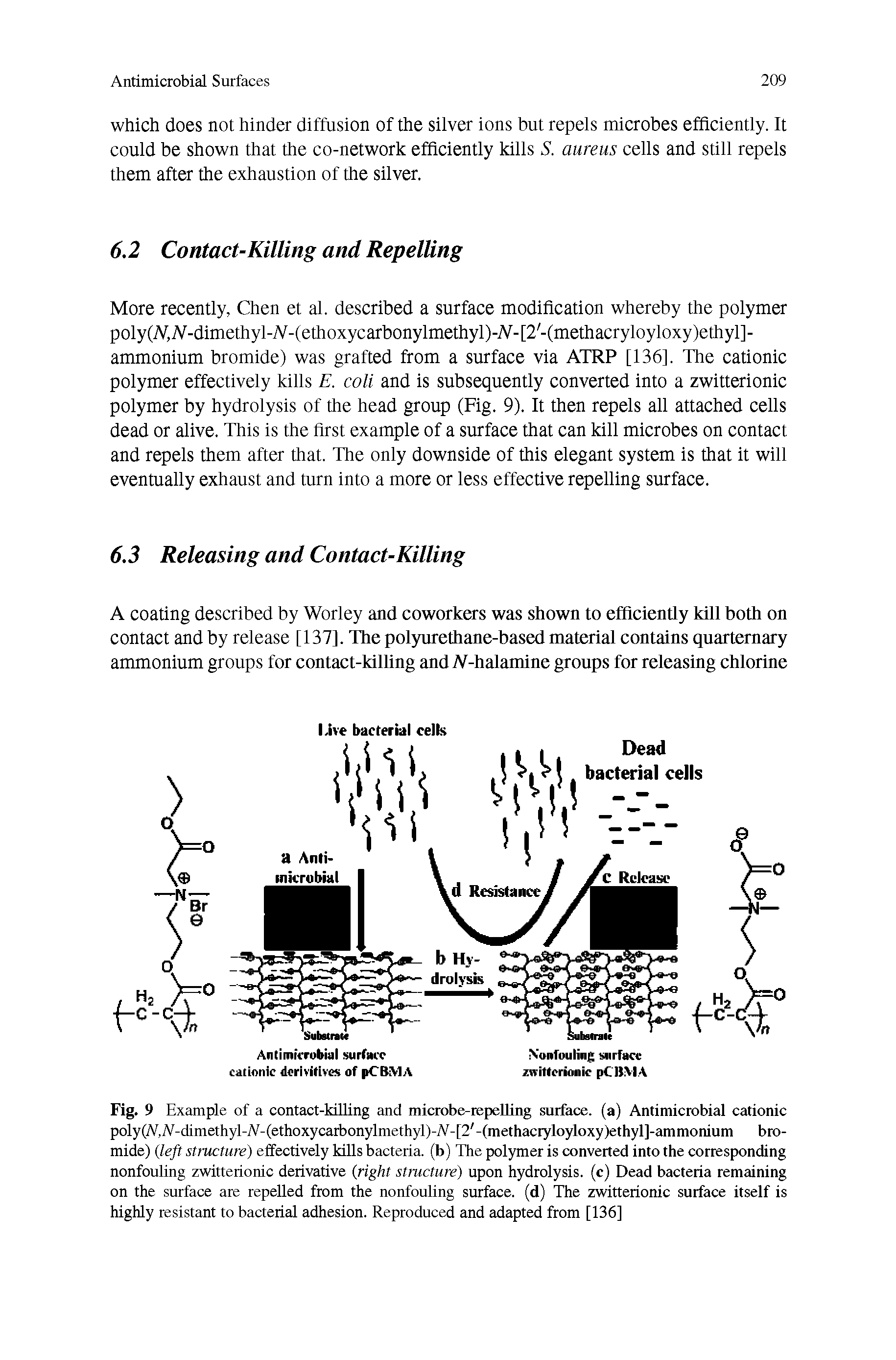 Fig. 9 Example of a contact-killing and microbe-repelling surface, (a) Antimicrobial cationic polyW.iV-dimethyl-iVTethoxycarbonylmethyll-iV-P -tniethacryloyloxylethyll-ammonium bromide) left structure) effectively kills bacteria, (b) The polymer is converted into the corresponding nonfouling zwitterionic derivative (right structure) upon hydrolysis, (c) Dead bacteria remaining on the surface are repelled from the nonfouling surface, (d) The zwitterionic surface itself is highly resistant to bacterial adhesion. Reproduced and adapted from [136]...