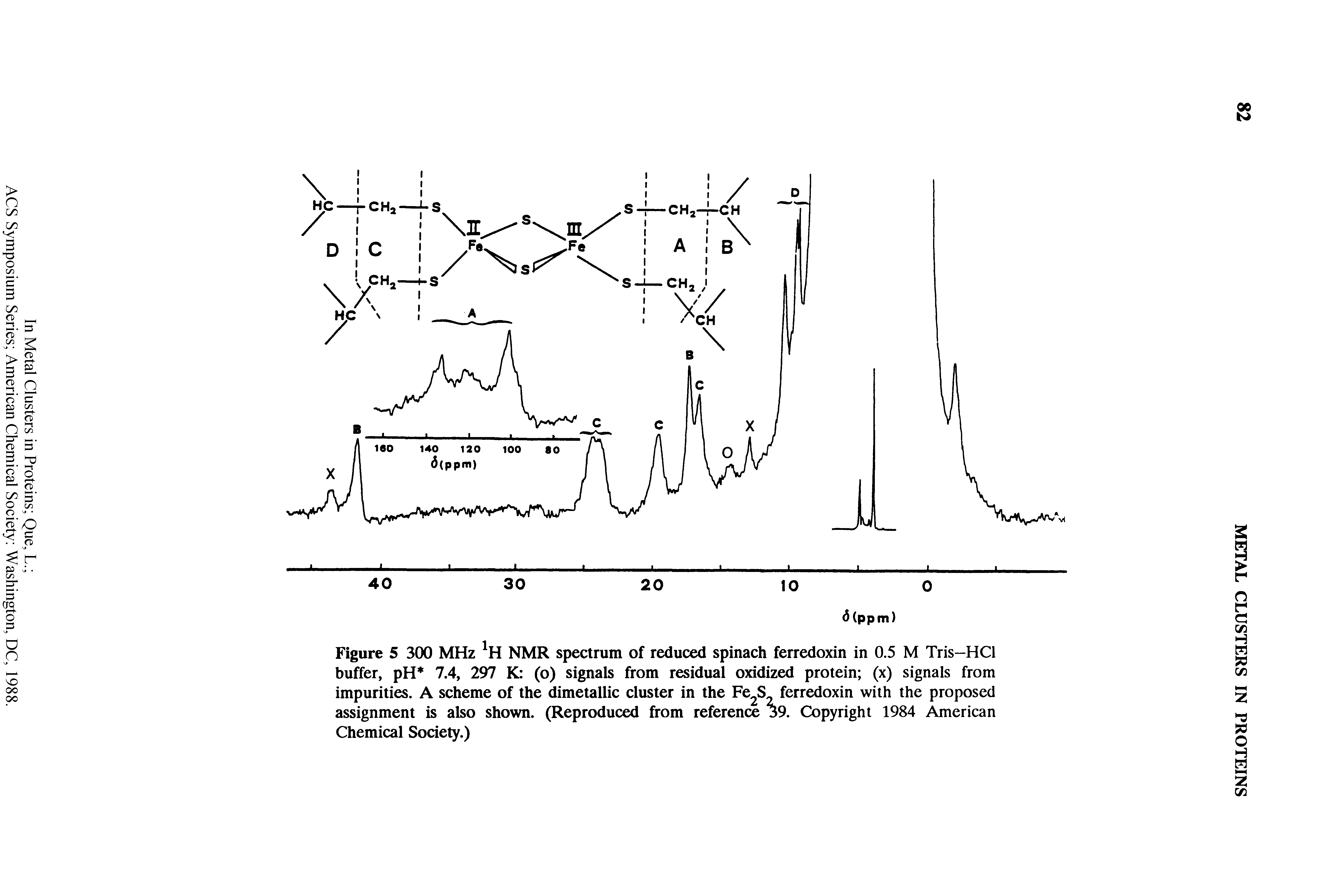 Figure 5 300 MHz NMR spectrum of reduced spinach ferredoxin in 0.5 M Tris-HCl buffer, pH 7.4, 297 K (o) signals from residual oxidized protein (x) signals from impurities. A scheme of the dimetallic cluster in the ferredoxin with the proposed...