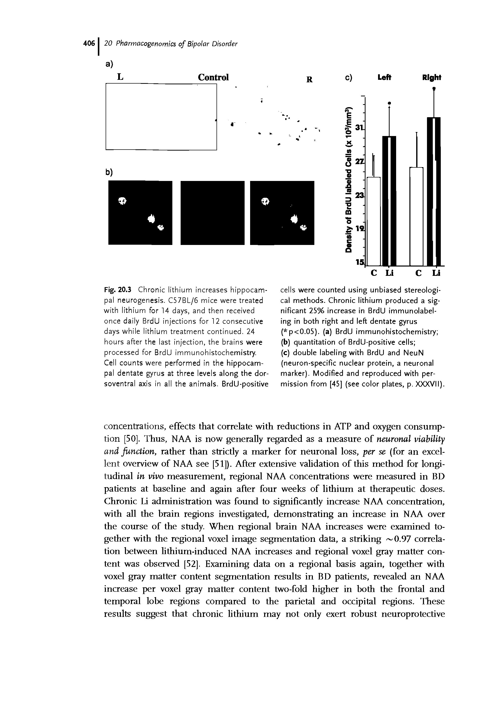 Fig. 20.3 Chronic lithium increases hippocampal neurogenesis. C57BL/6 mice were treated with lithium for 14 days, and then received once daily BrdU injections for 12 consecutive days while lithium treatment continued. 24 hours after the last injection, the brains were processed for BrdU immunohistochemistry.