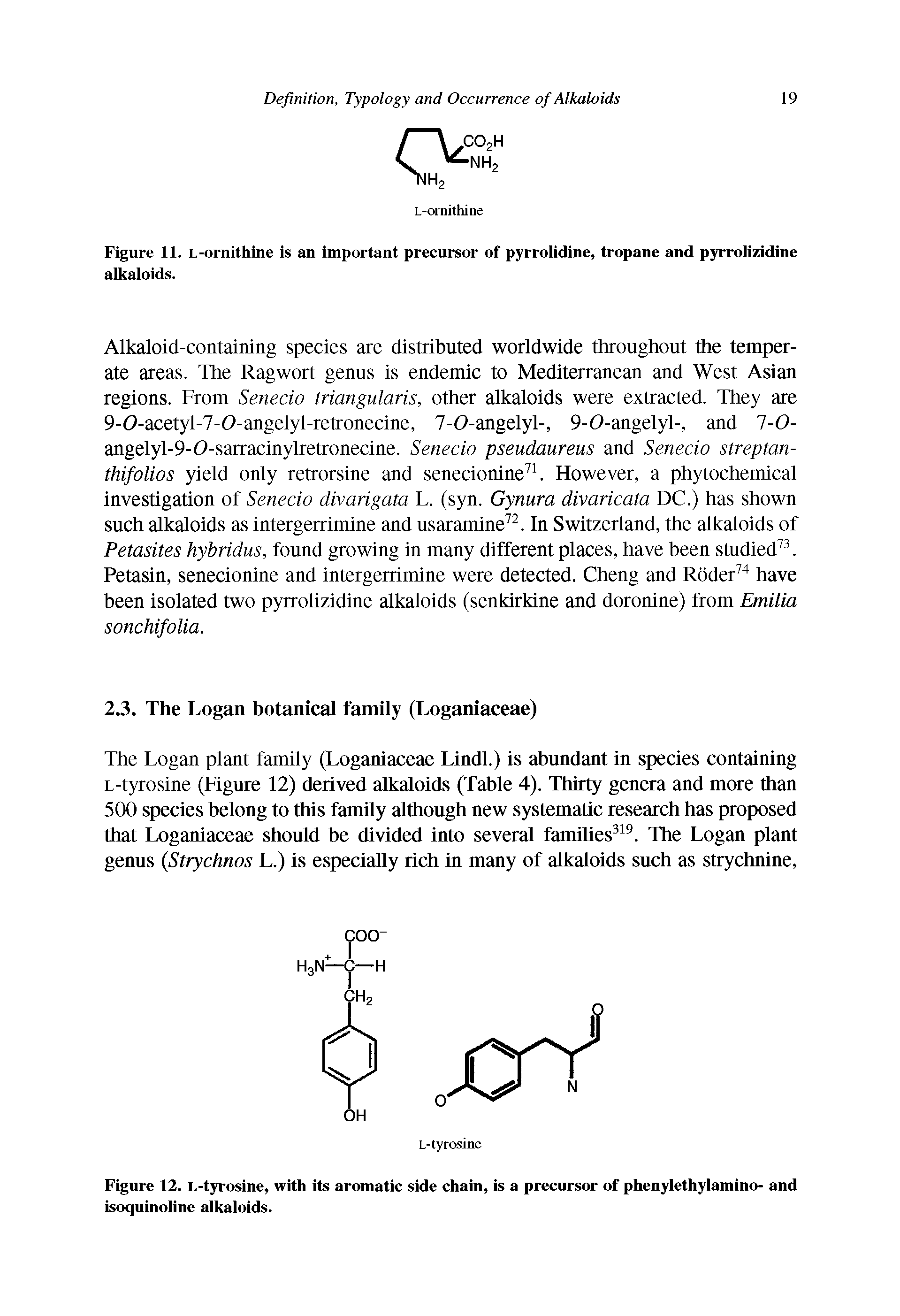 Figure 11. L-ornithine is an important precursor of pyrrolidine, tropane and pyrrolizidine alkaloids.