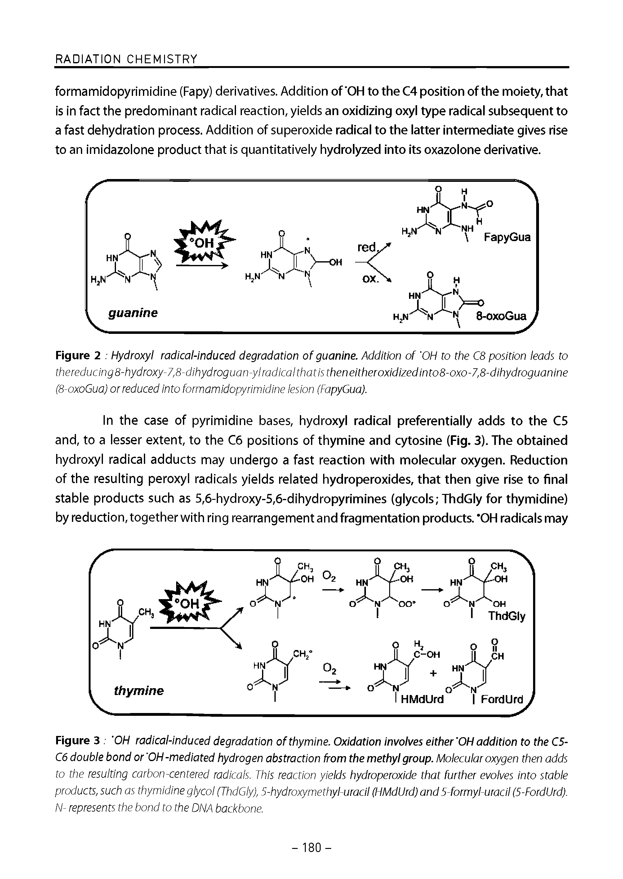 Figure 3. OH radical-induced degradation of thymine. Oxidation involves either OH addition to the C5-06 double bond or OH-mediated hydrogen abstraction from the methyl group. Molecular oxygen then adds to the resulting carbon-centered radicals. This reaction yields hydroperoxide that further evolves into stable products, such as thymidine glycol (ThdGly), 5-hydroxymethyl-uracil (HMdUrd) and 5 formyl-uracil (5-FordUrd). N- represents the bond to the DNA backbone.
